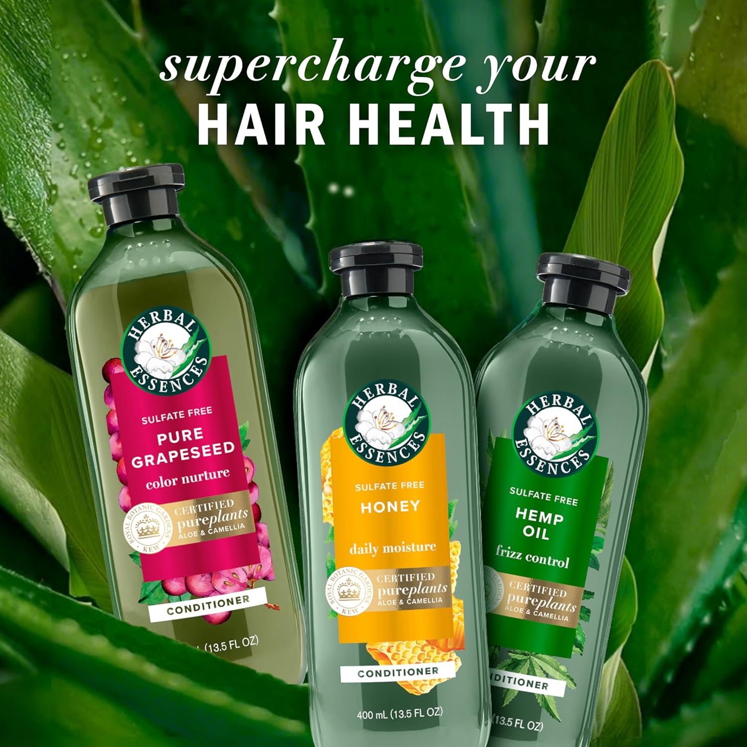 Herbal Essences Sulfate Free Shampoo with Honey for Daily Moisture, Nourishes Dry Hair, Moisturizing Shampoo with Certified Camellia Oil and Aloe Vera, Lightweight For All Hair Types, 33.8oz - Image 8