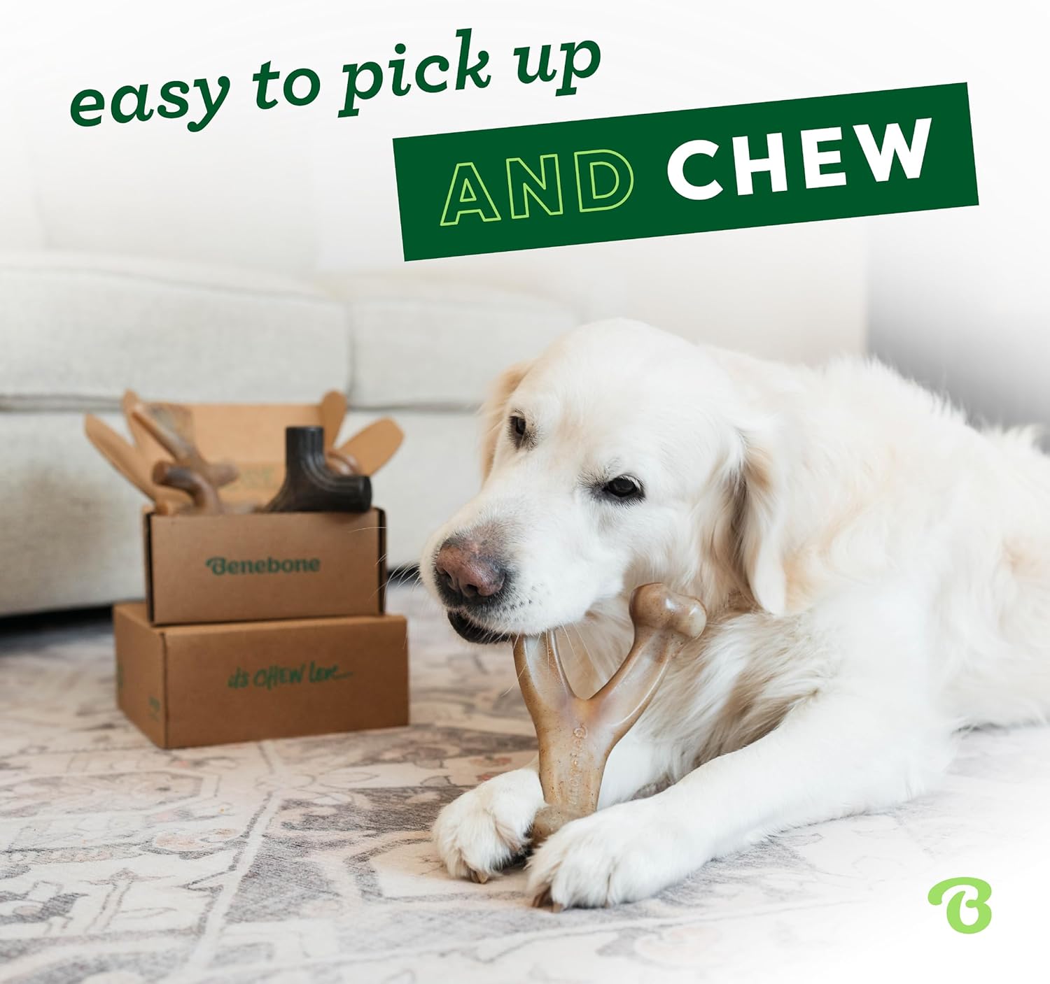 Benebone Medium 4-Pack Dog Toys for Aggressive Chewers – Durable Dog Bones, Made in USA – Dog Toys for Medium Dogs Under 60 lbs - Image 2