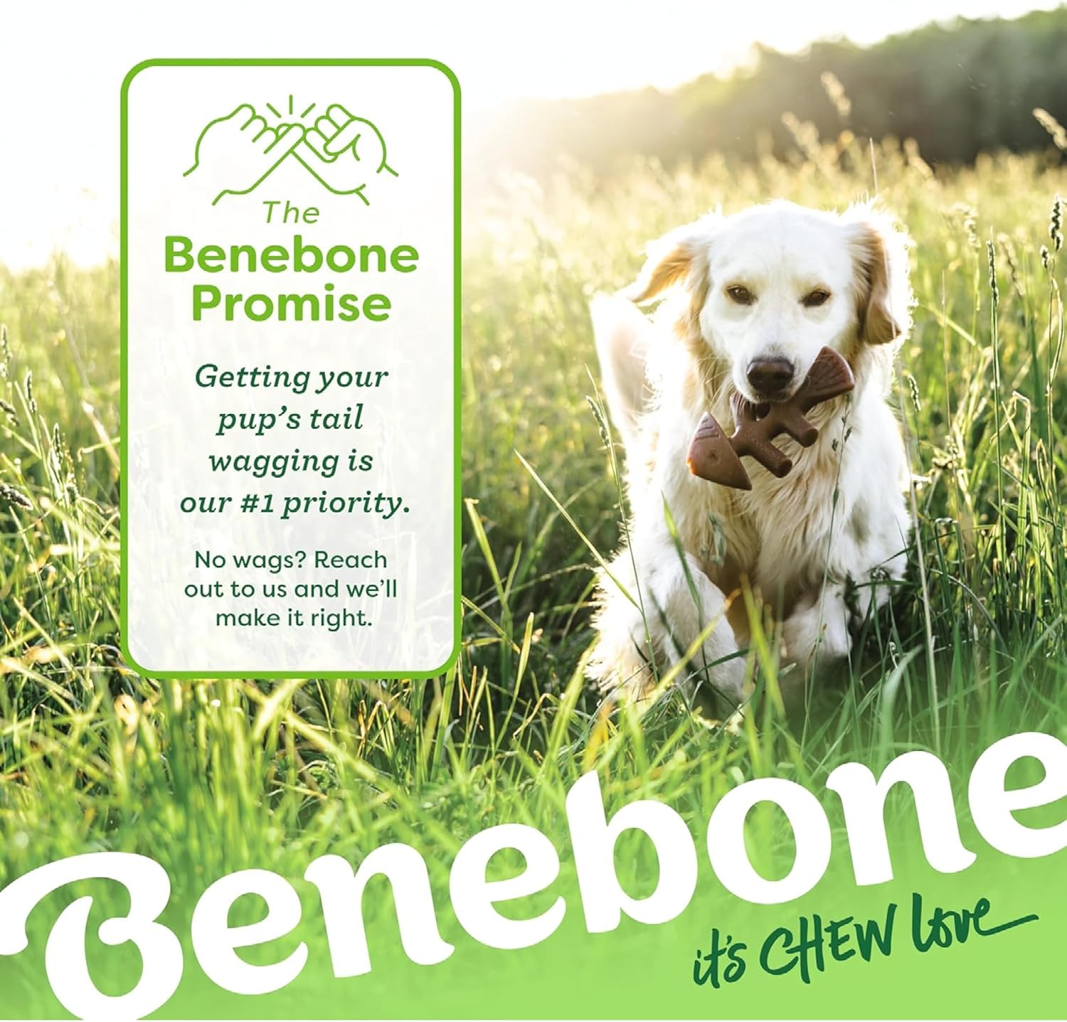 Benebone Fishbone Durable Dog Chew Toy for Aggressive Chewers, Real Fish, Made in USA, Small - Image 6