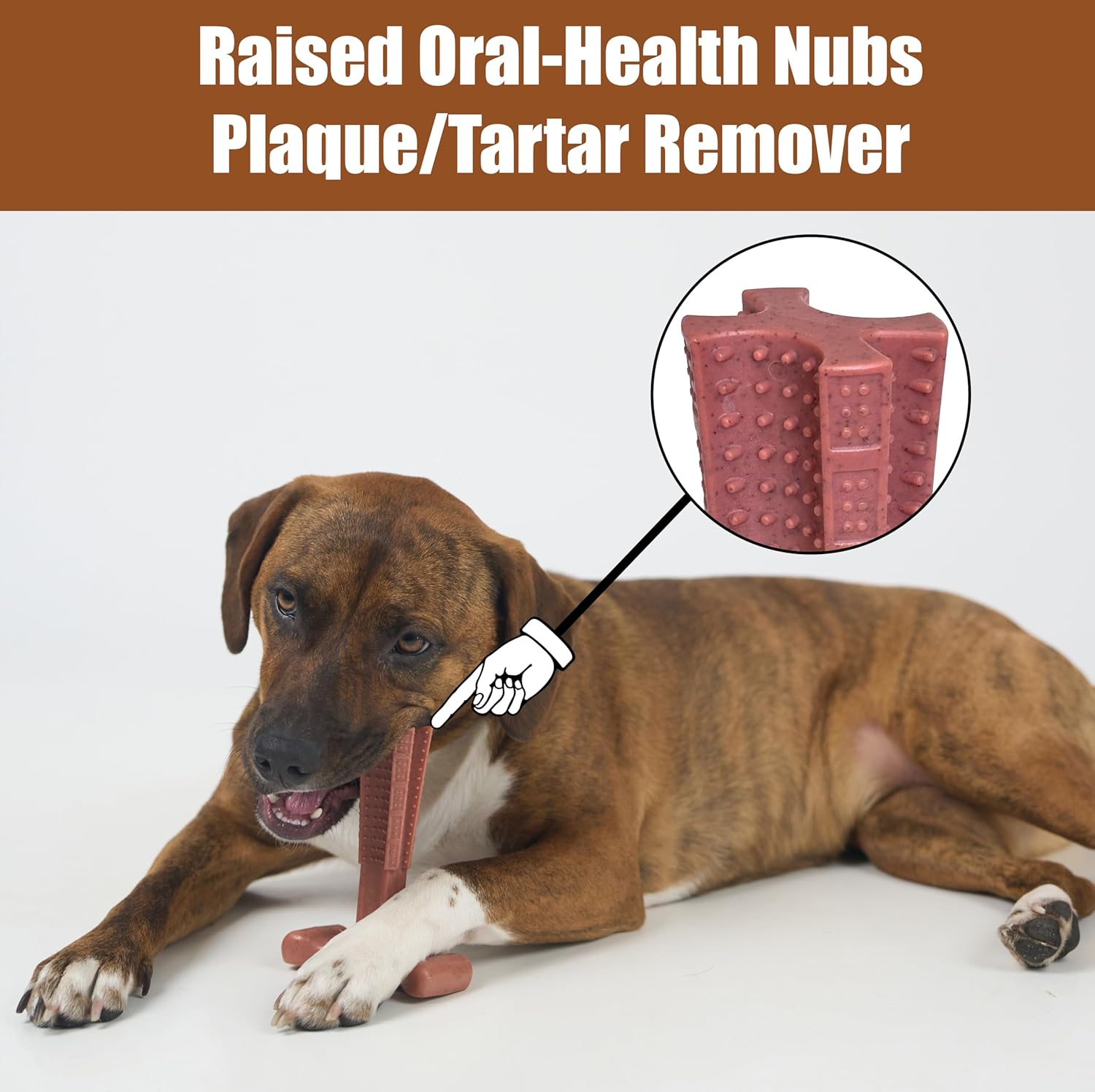 SPOT Bam-Bones Plus T Bone – Bamboo Fiber & Nylon Dog Chew Toy for Moderate to Aggressive Chewers, Durable Long Lasting & Non-Splintering, Beef Flavor Toy for Adult Dogs & Puppies Under 60 lbs, 6 in - Image 10