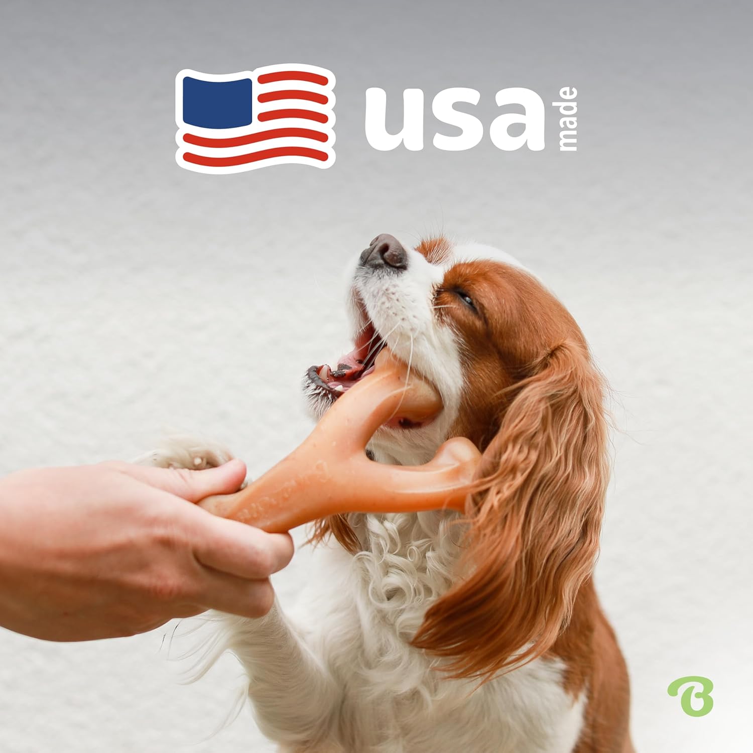 Benebone Wishbone Durable Dog Chew Toy for Aggressive Chewers, Real Bacon, Made in USA, Medium - Image 5