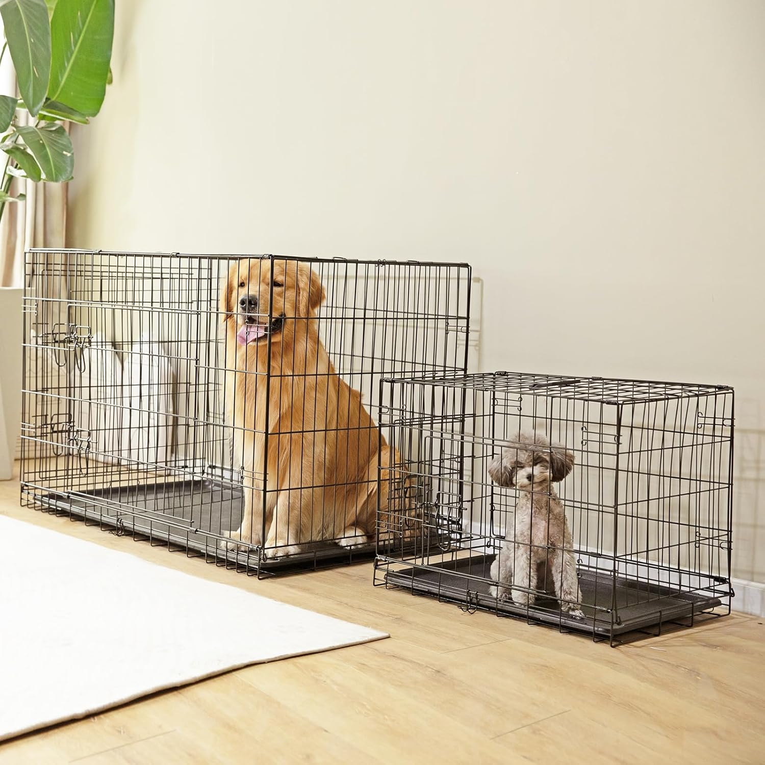 Sweetcrispy Large Dog Crate, 36 Inch Double Door Folding Metal Wire Dog Cage with Plastic Leak-Proof Pan Tray, Pet Kennel for Indoor, Outdoor, Travel - Image 7
