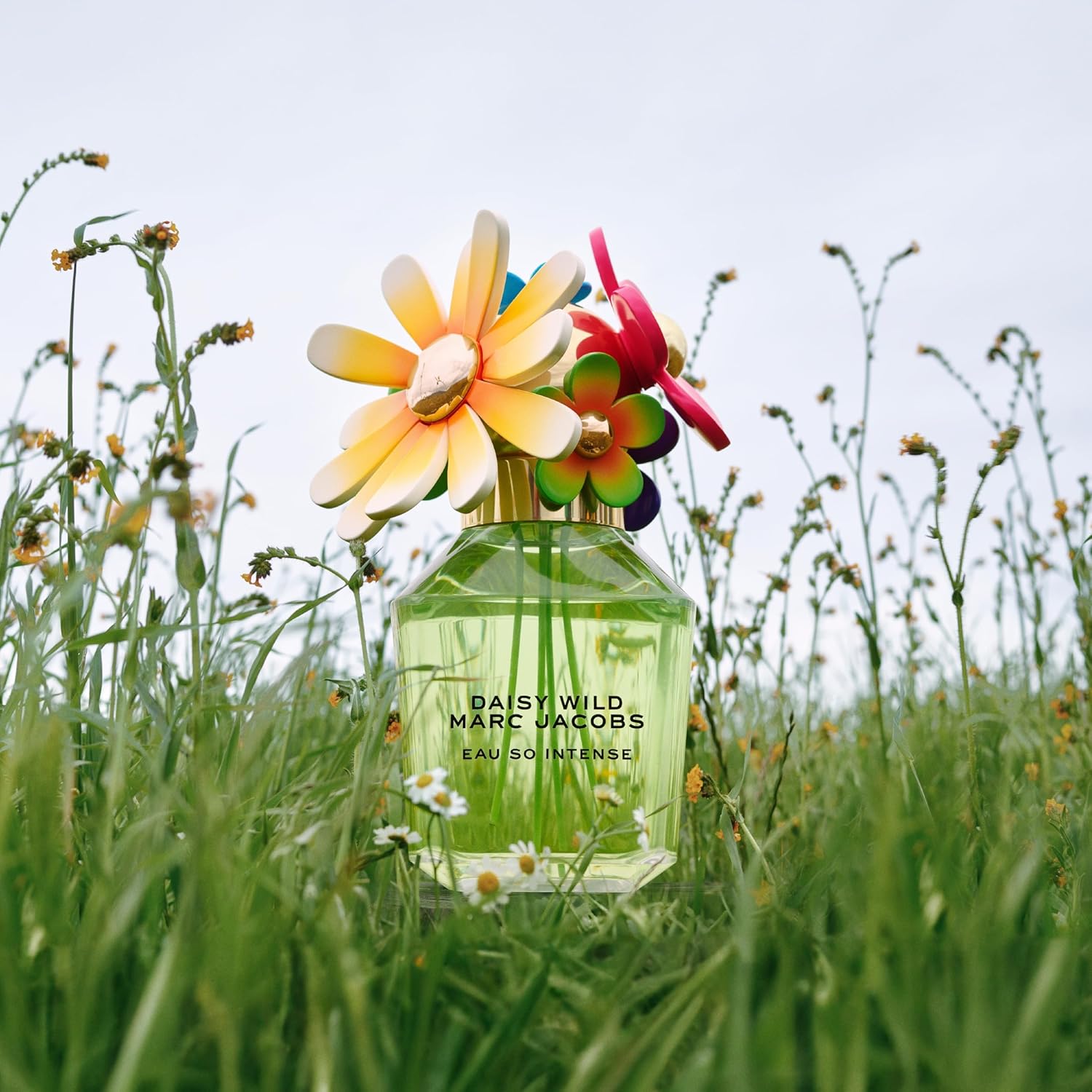 Marc Jacobs Daisy Wild Intense Eau de Parfum - Adventurous Floral Women's Perfume - With Notes of Banana Blossom, Jasmine Extract & Tuberose, Amber & Sandalwood - Image 6
