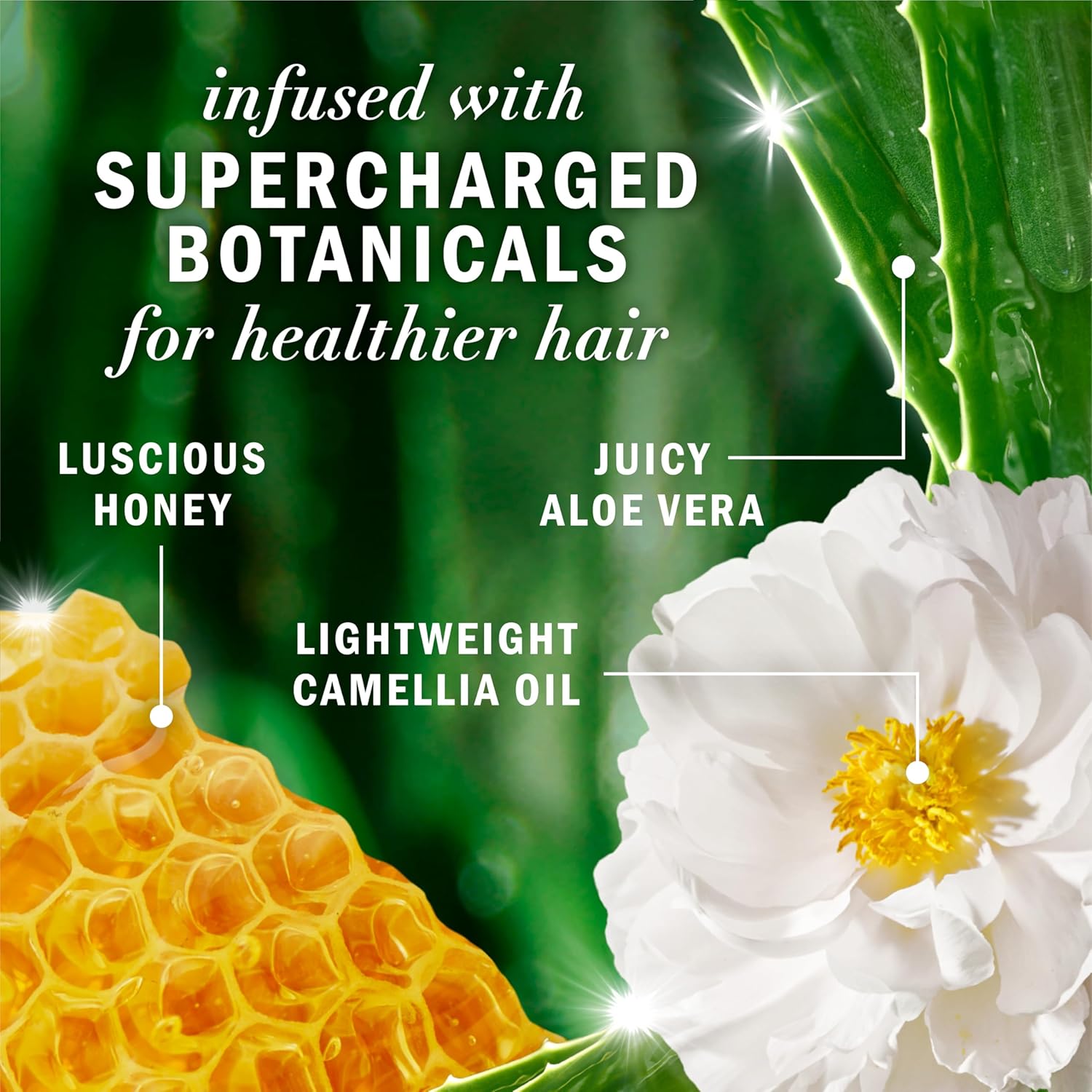 Herbal Essences Sulfate Free Shampoo with Honey for Daily Moisture, Nourishes Dry Hair, Moisturizing Shampoo with Certified Camellia Oil and Aloe Vera, Lightweight For All Hair Types, 33.8oz - Image 5