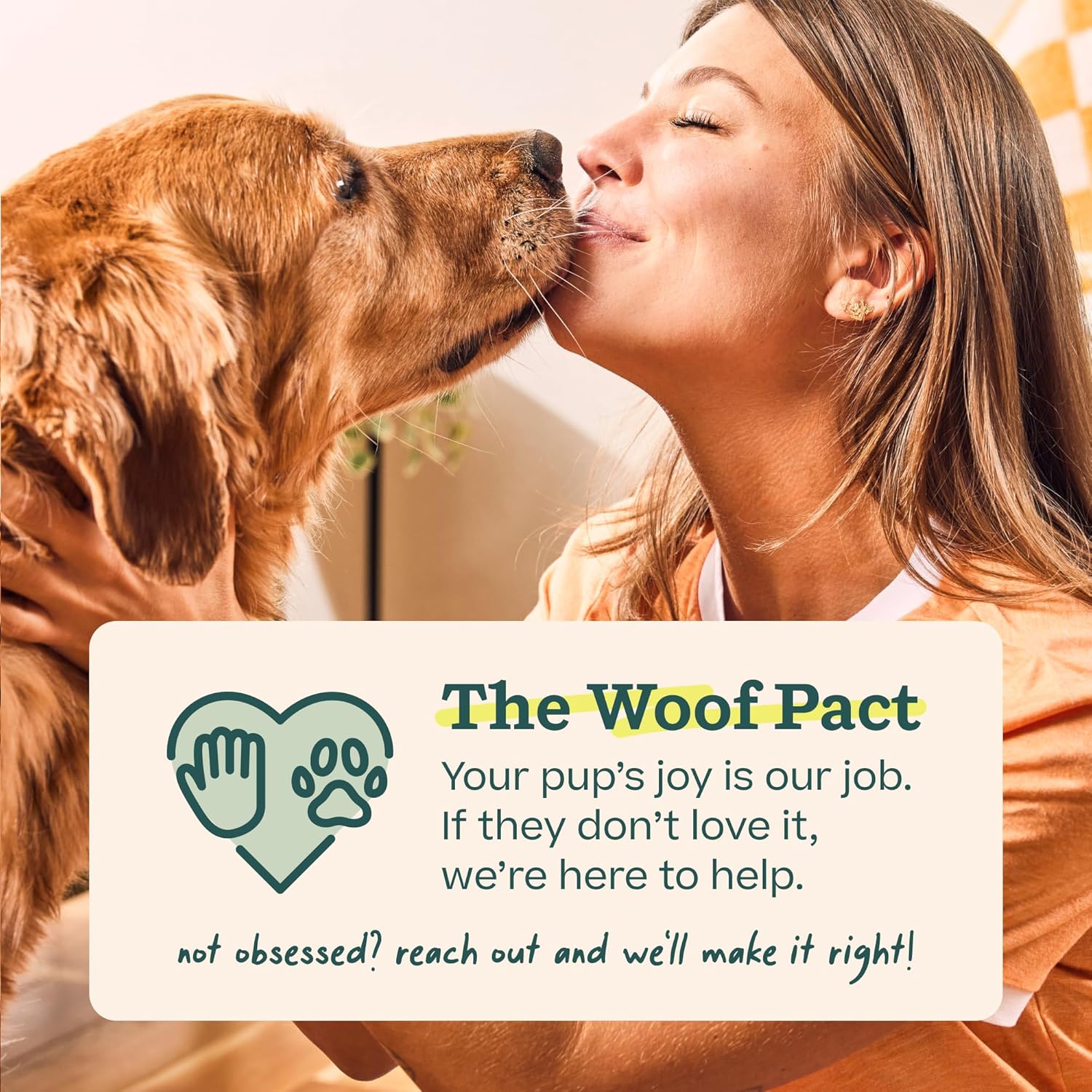 WOOF Starter Pack - Interactive Dog Ball Toy for Boredom - Dog Treat Molds Silicone - Chicken-Flavored Healthy Treats for Dogs - Pupsicle Doggy Enrichment Toy - for Small Pups - 10-25 lbs - Image 9