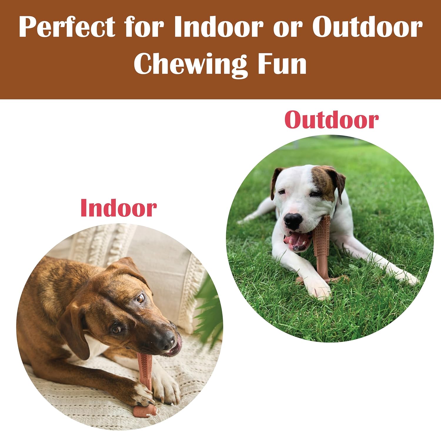 SPOT Bam-Bones Plus T Bone – Bamboo Fiber & Nylon Dog Chew Toy for Moderate to Aggressive Chewers, Durable Long Lasting & Non-Splintering, Beef Flavor Toy for Adult Dogs & Puppies Under 60 lbs, 6 in - Image 8