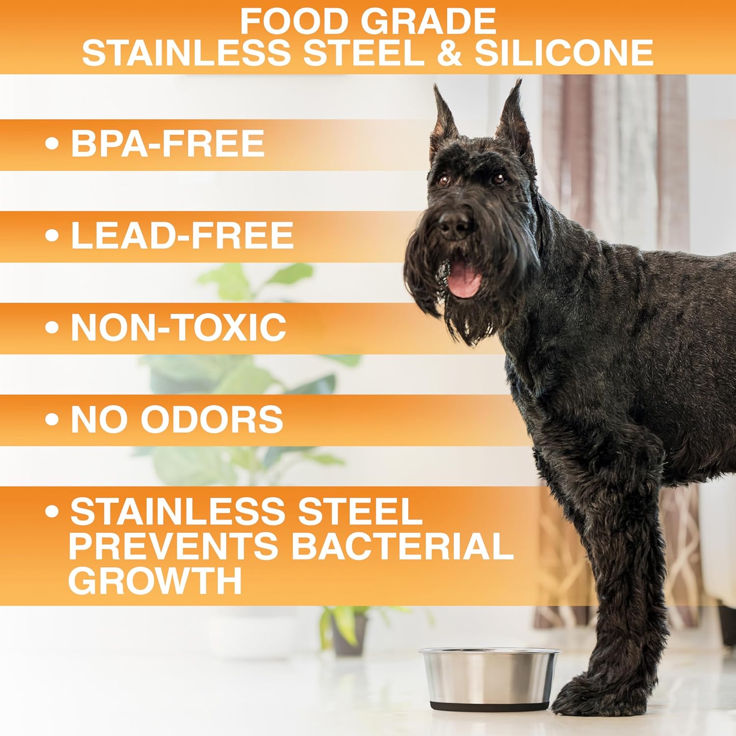 Neater Pet Brands Stainless Steel Dog Bowls with Non-Slip Rubber Bottom – 2 Cup (16 oz), Black - Set of 2 Heavy Duty Metal Dog Bowls, Dishwasher Safe, Food or Water Bowl, Ideal for Small Dogs & Cats - Image 3