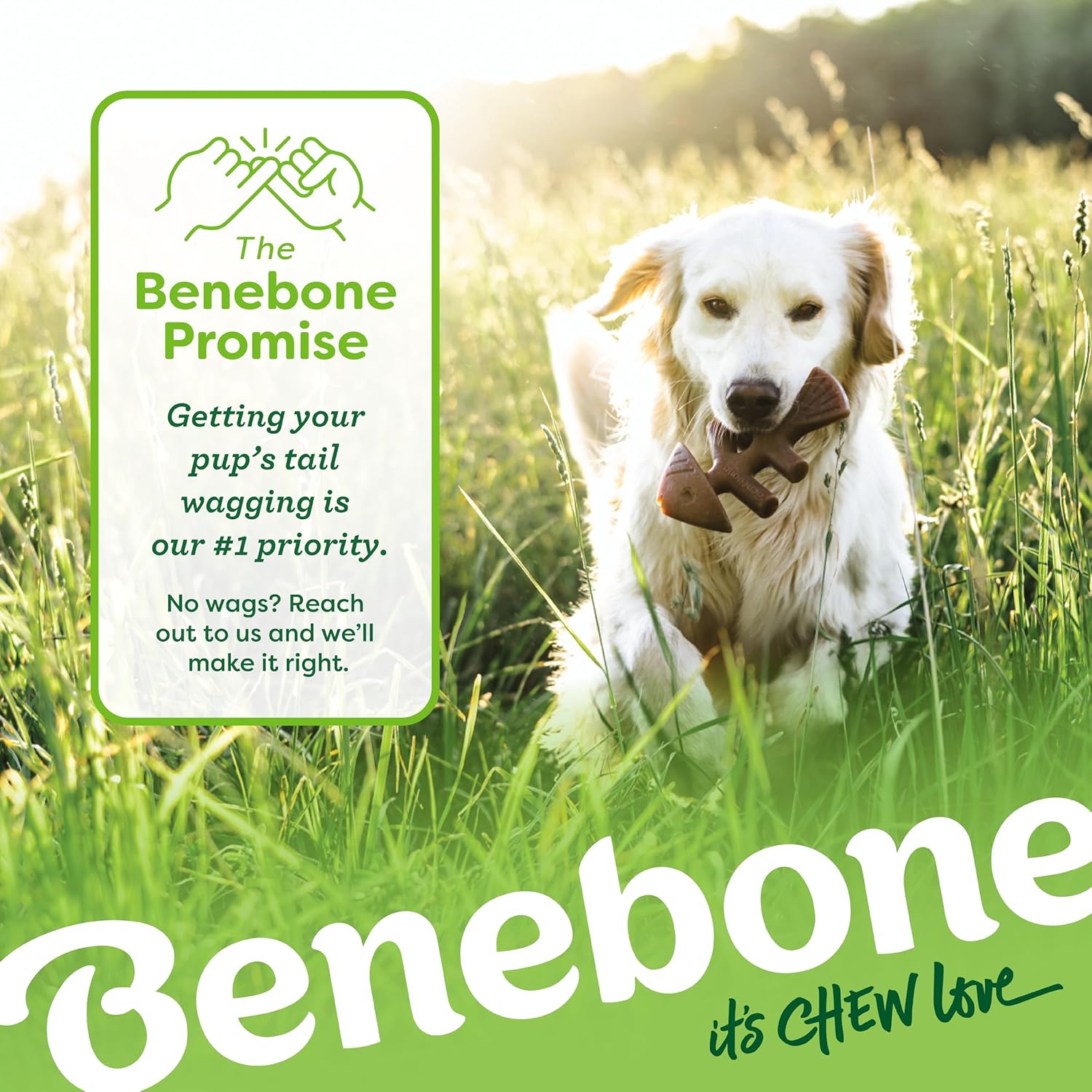 Benebone Medium 4-Pack Dog Toys for Aggressive Chewers – Durable Dog Bones, Made in USA – Dog Toys for Medium Dogs Under 60 lbs - Image 7