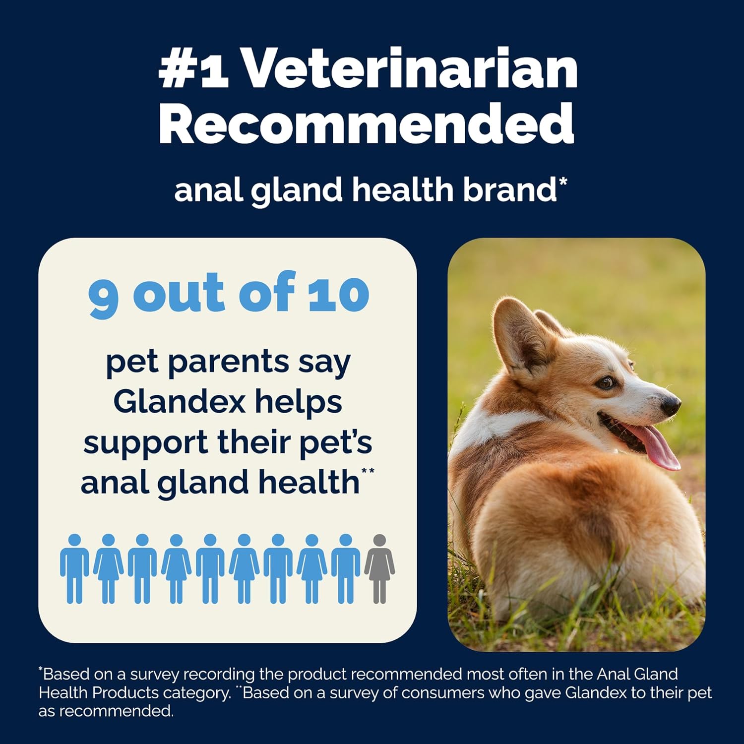 Vetnique Glandex Anal Gland Soft Chew Treats with Pumpkin for Dogs Digestive Enzymes, Probiotics Fiber Supplement for Dogs Boot The Scoot (Peanut Butter Chews, 60 Count) - Image 7