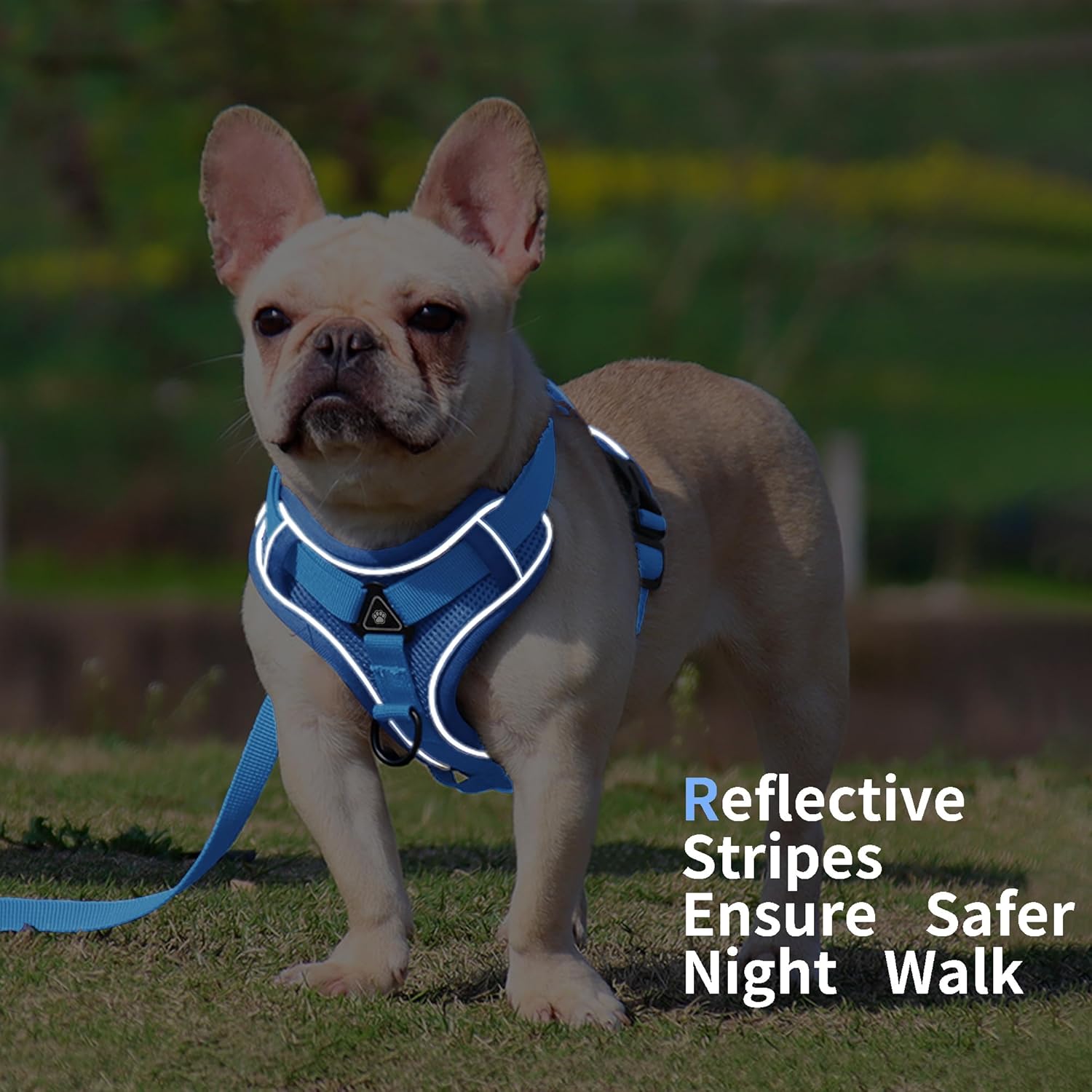 No Pull Dog Harness with Leash Set for Medium Sized Dog Blue XL - Image 5