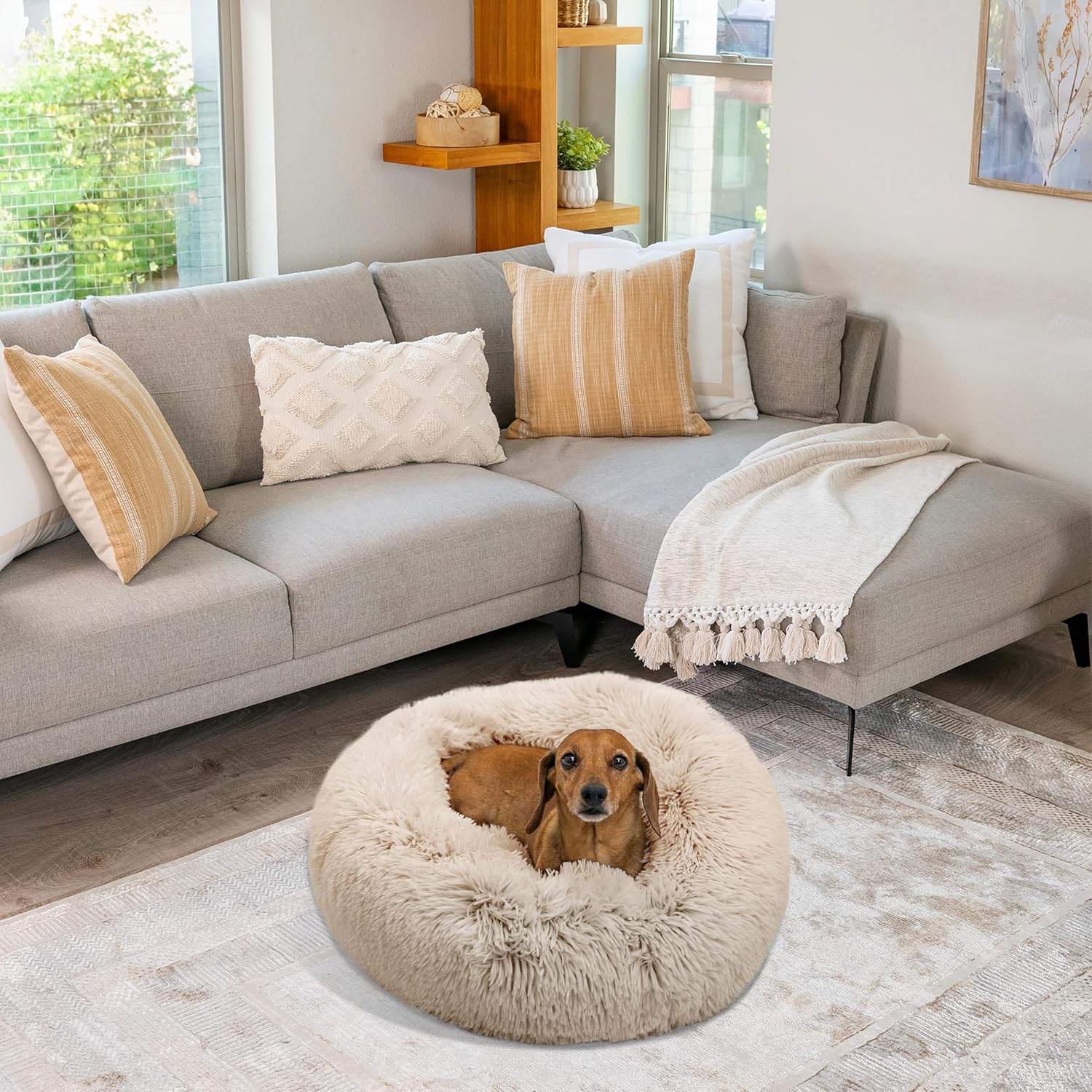 Best Friends by Sheri The Original Calming Donut Dog Bed – Washable Plush Pet Bed for Cats & Small Dogs up to 25 lbs, Shag Faux Fur, Taupe, Small (23" x 23") - Image 7