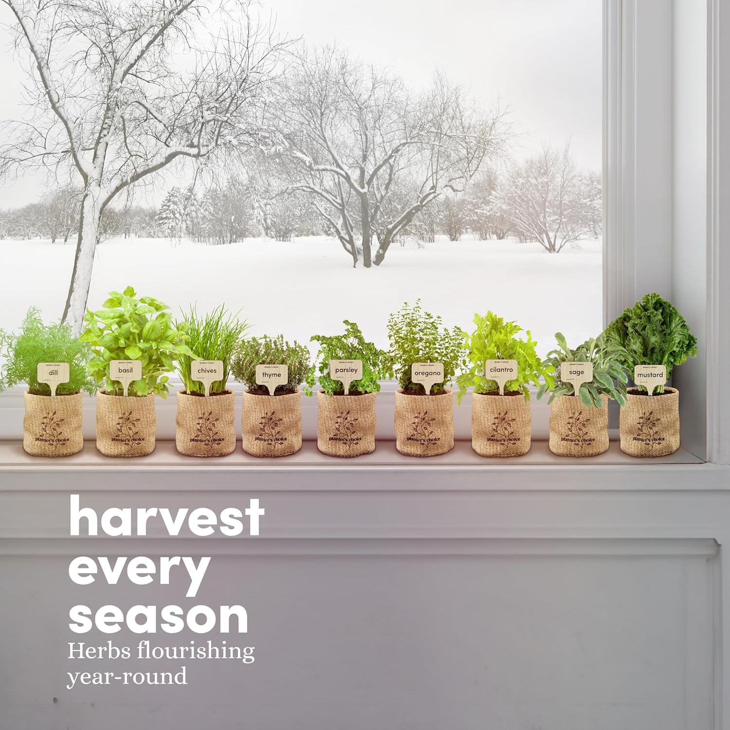 Planters' Choice 9 Herb Indoor Window Garden Kit - House Plants Seeds - Best Unique Easter Gift Ideas for Women, Mom, Friend, Her, Birthday, Housewarming, Mother - New Home Kitchen Gifts - Image 8