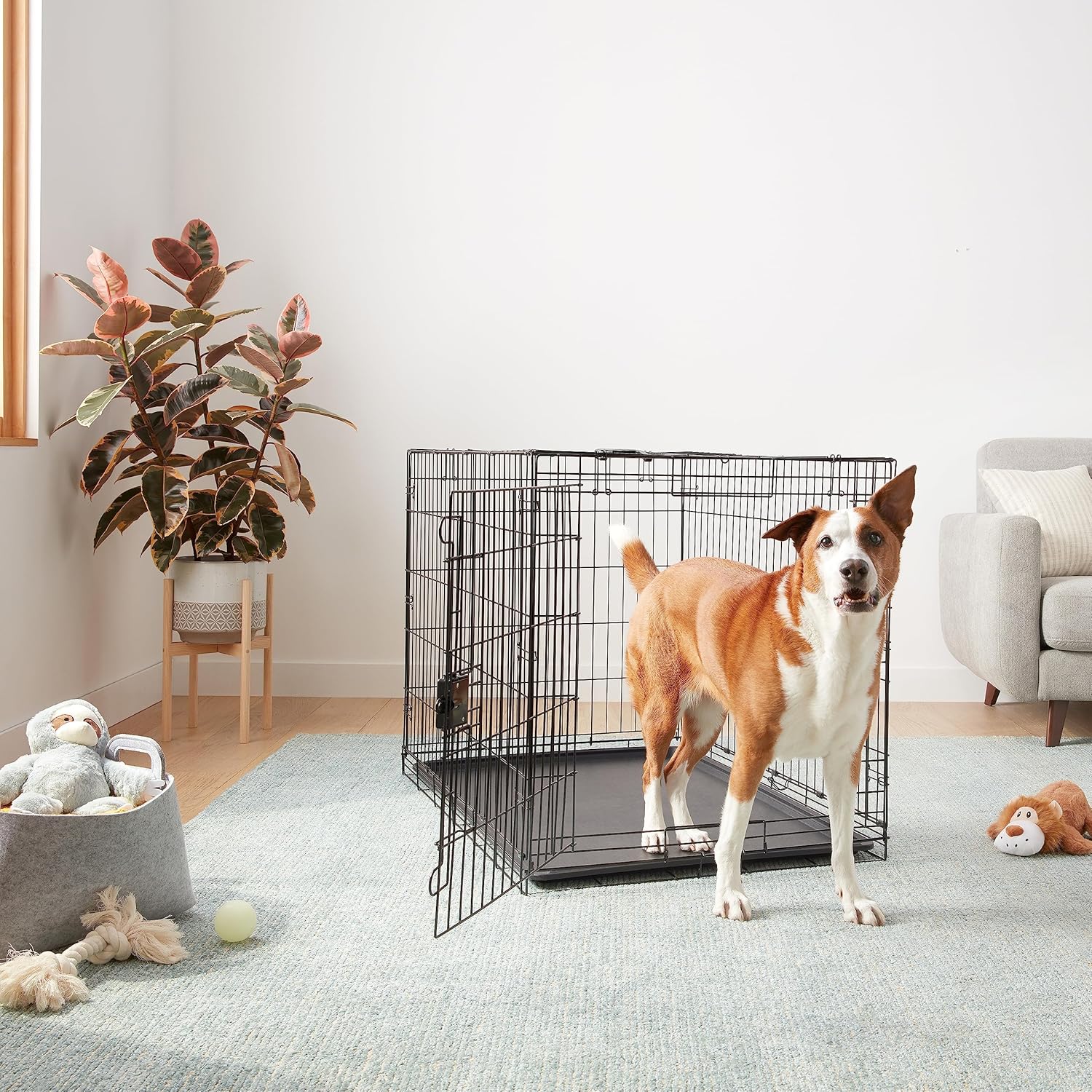 Amazon Basics - Durable, Foldable Metal Wire Dog Crate with Tray, Single Door, 42 x 28 x 30 in, Black - Image 5