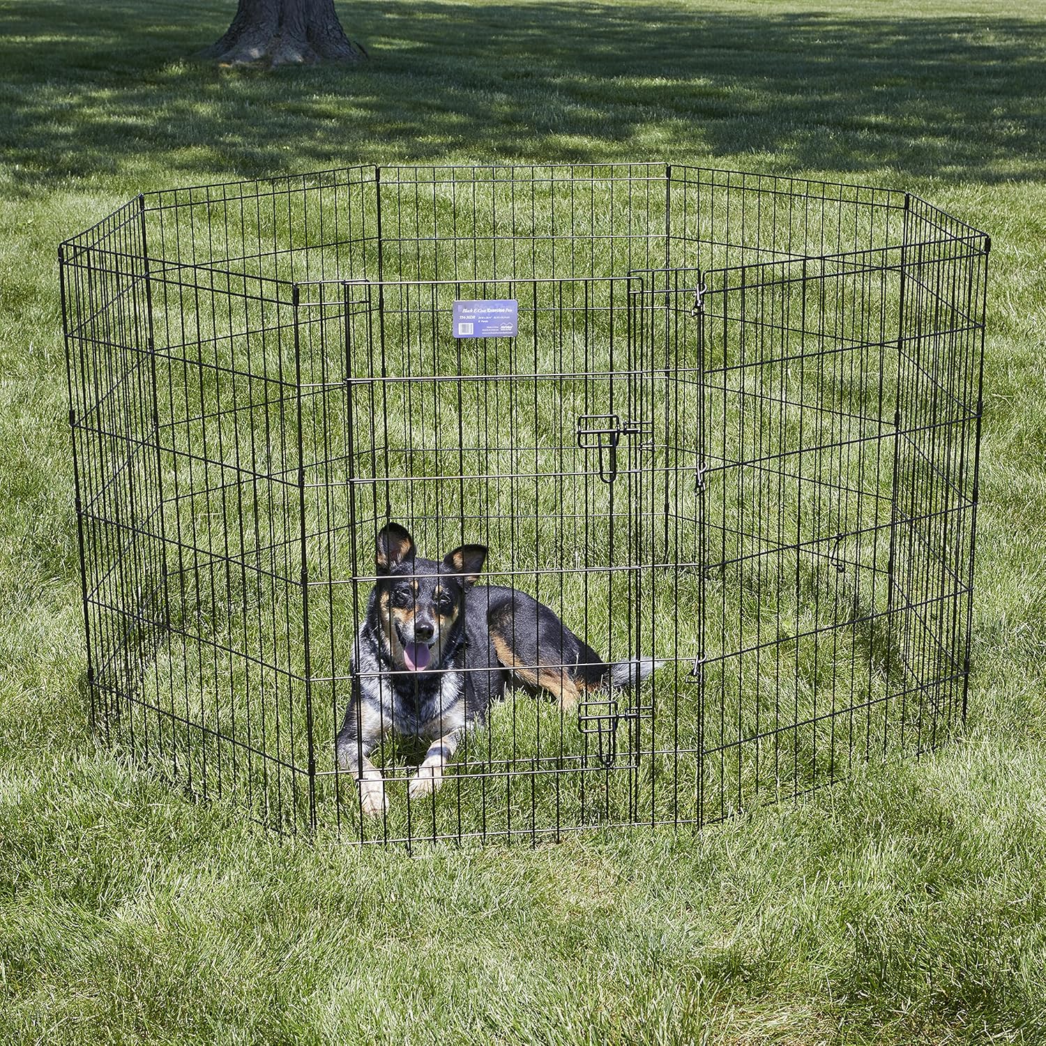 MidWest Homes for Pets Folding Metal Dog Exercise Pen, Indoor/Outdoor Playpen with Secure Door, Provides 16 Sq Feet of Play Space, 36-Inches Tall, Black E-Coated - Image 2