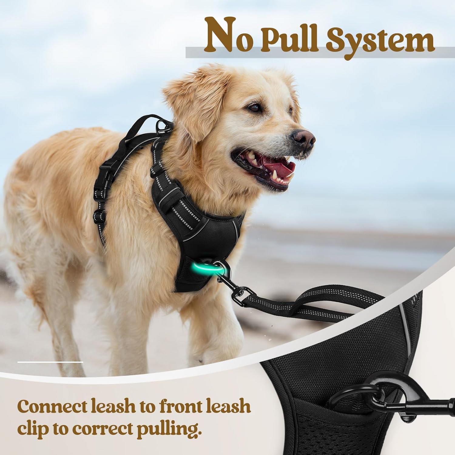 rabbitgoo Dog Harness No Pull with 2 Leash Clips, Adjustable Soft Padded, Reflective Oxford No Choke Pet Vest with Easy Control Handle for Large Dogs, Black, XL - Image 5