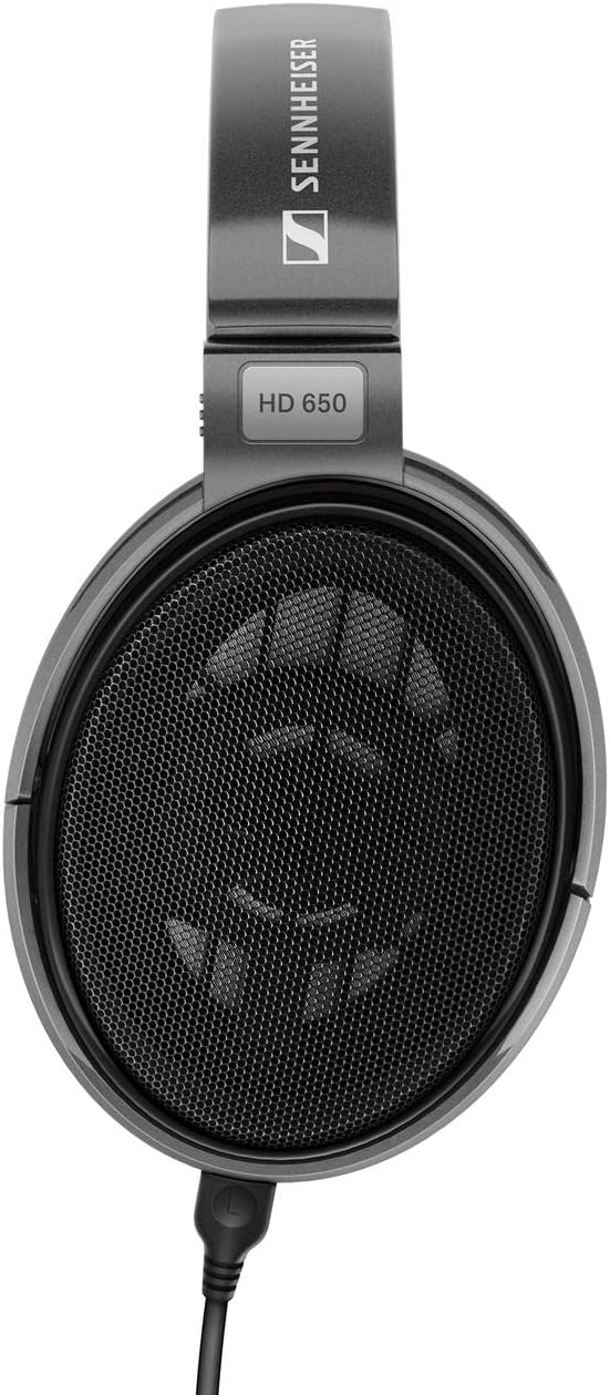 Sennheiser Consumer Audio HD 650 - Audiophile Hi-Res Open Back Dynamic Headphone, Titan - Image 3