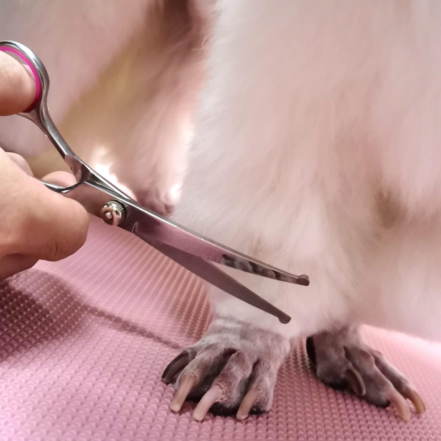 FAIGEO Dog Grooming Scissors with Safety Round Tips Stainless Steel Professional Dog Grooming Kit - Thinning, Curved Scissors and Comb for Cat Pet (Pink 4 in 1) - Image 7