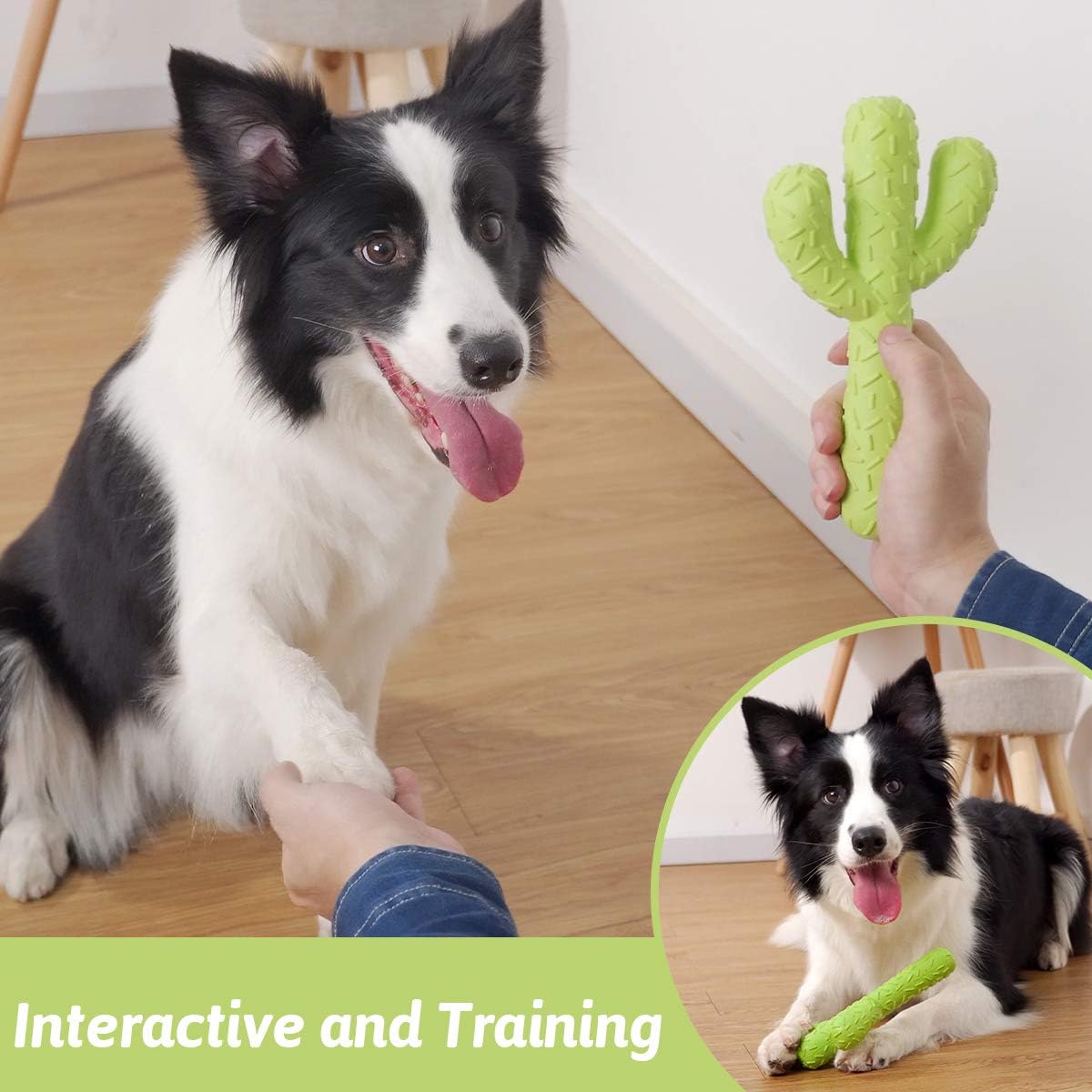 MewaJump Dog Chew Toys, Durable Rubber Dog Toys for Aggressive Chewers, Cactus Tough Toys for Training and Cleaning Teeth, Interactive Dog Toys for Medium/Large Dog - Image 4