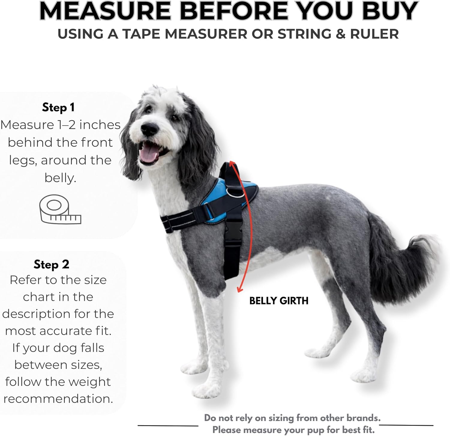 ShawnCo Essential Dog Harness, No-Pull Pet Vest with 3 Leash Clips, No Choke, Reflective, Adjustable and Padded, for Easy Walking and Training for Small, Medium and Large Dogs (Oceanic Blue, S) - Image 5