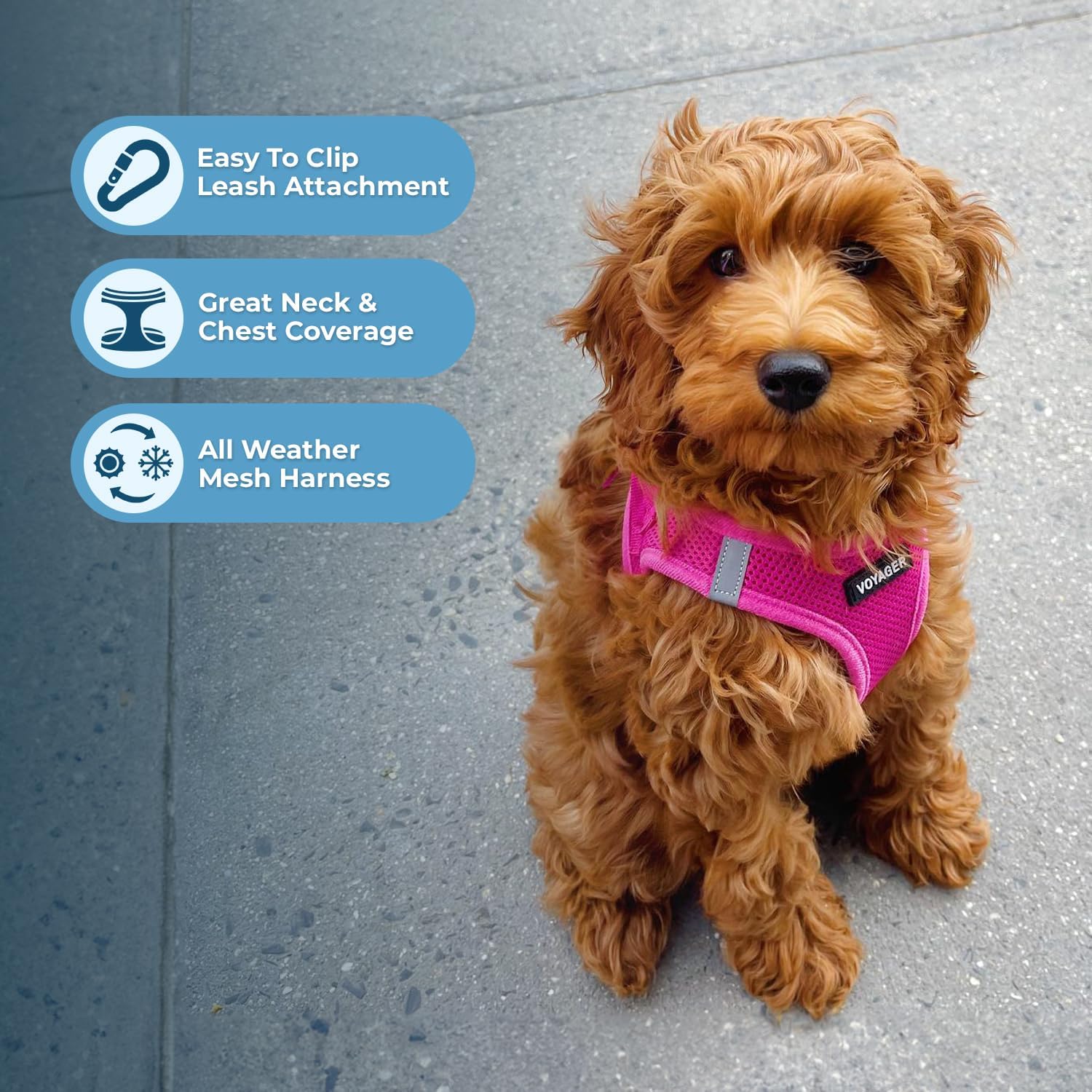 Best Pet Supplies Voyager Step-in Air Harness - All Weather Mesh, Reflective, No Pull Harness for Dogs, Cats - Secure with Hook & Loop Fastener, Buckle, Double D-Rings - Fuchsia, S - Image 3
