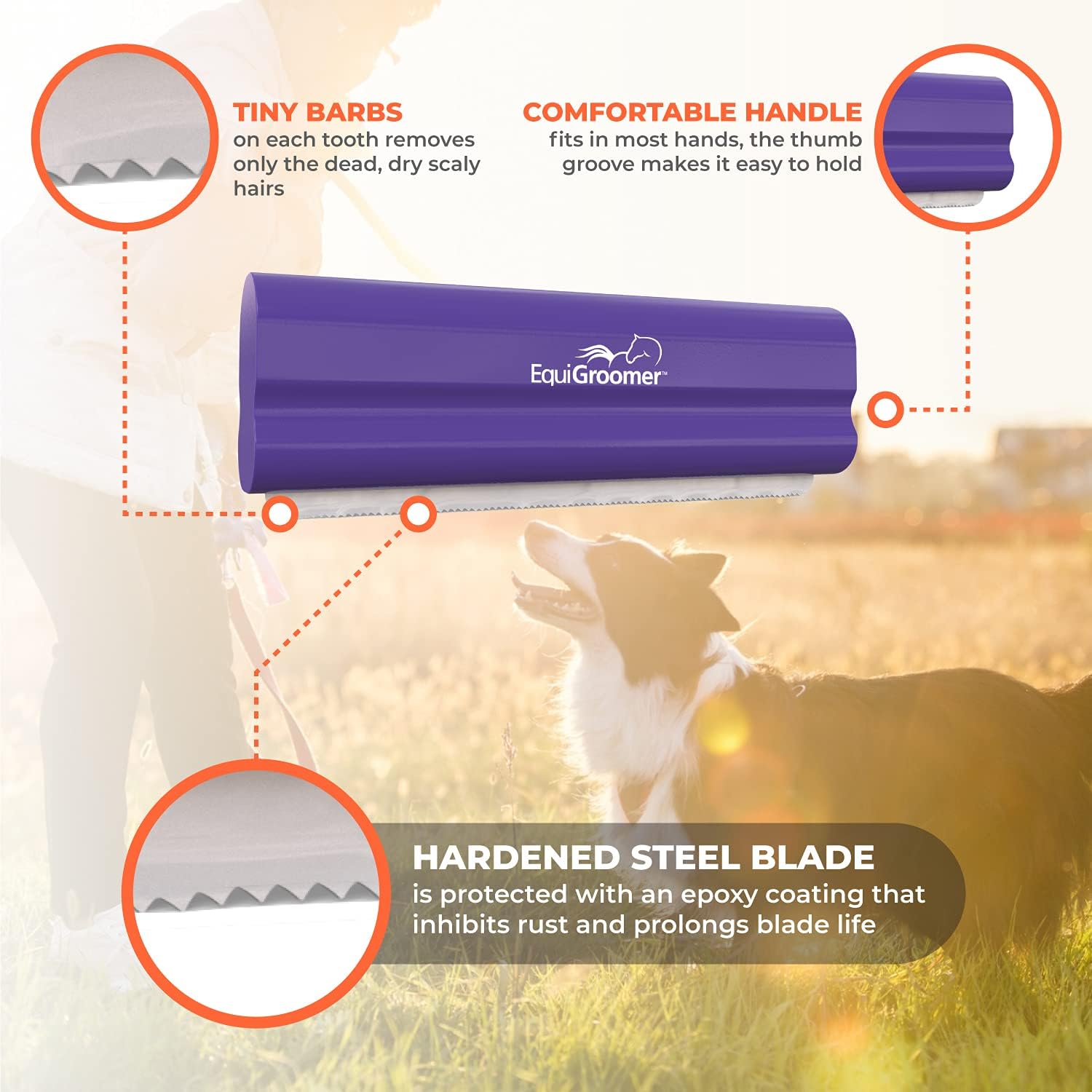 EasyGroomer Deshedding Brush for Dogs & Cats – Undercoat Grooming Tool for Short & Long Hair, Removes Loose Fur & Dirt, Reduces Shedding for Small & Large Pets, Purple - Image 4