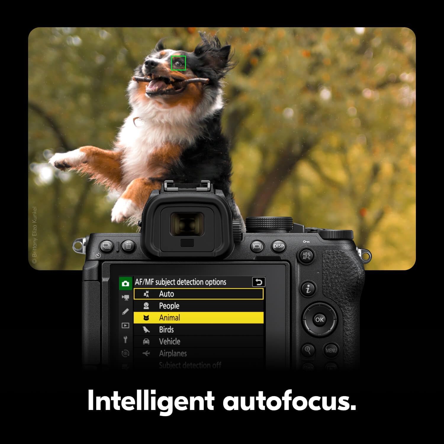 Nikon Z50 II with Two Lenses | Compact mirrorless Stills/Video Camera with Easy Color presets and Wireless Photo Sharing | USA Model - Image 7