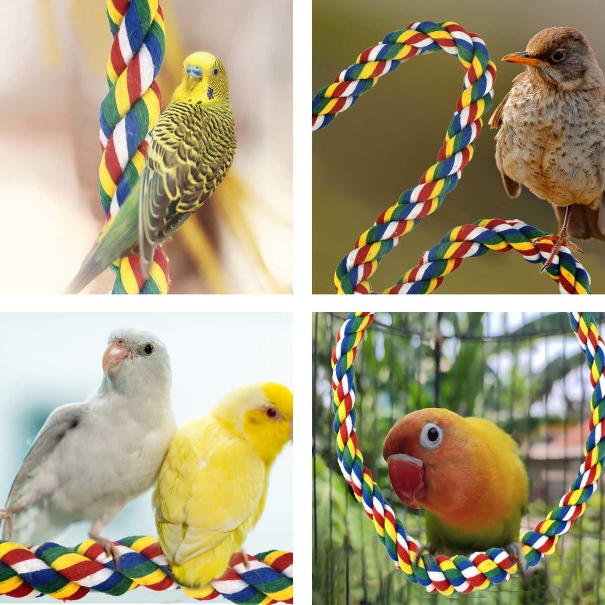 Bird Bungee Climbing Swing - Colorful Parakeet Rope Perch (23.6 Inches) - Image 3