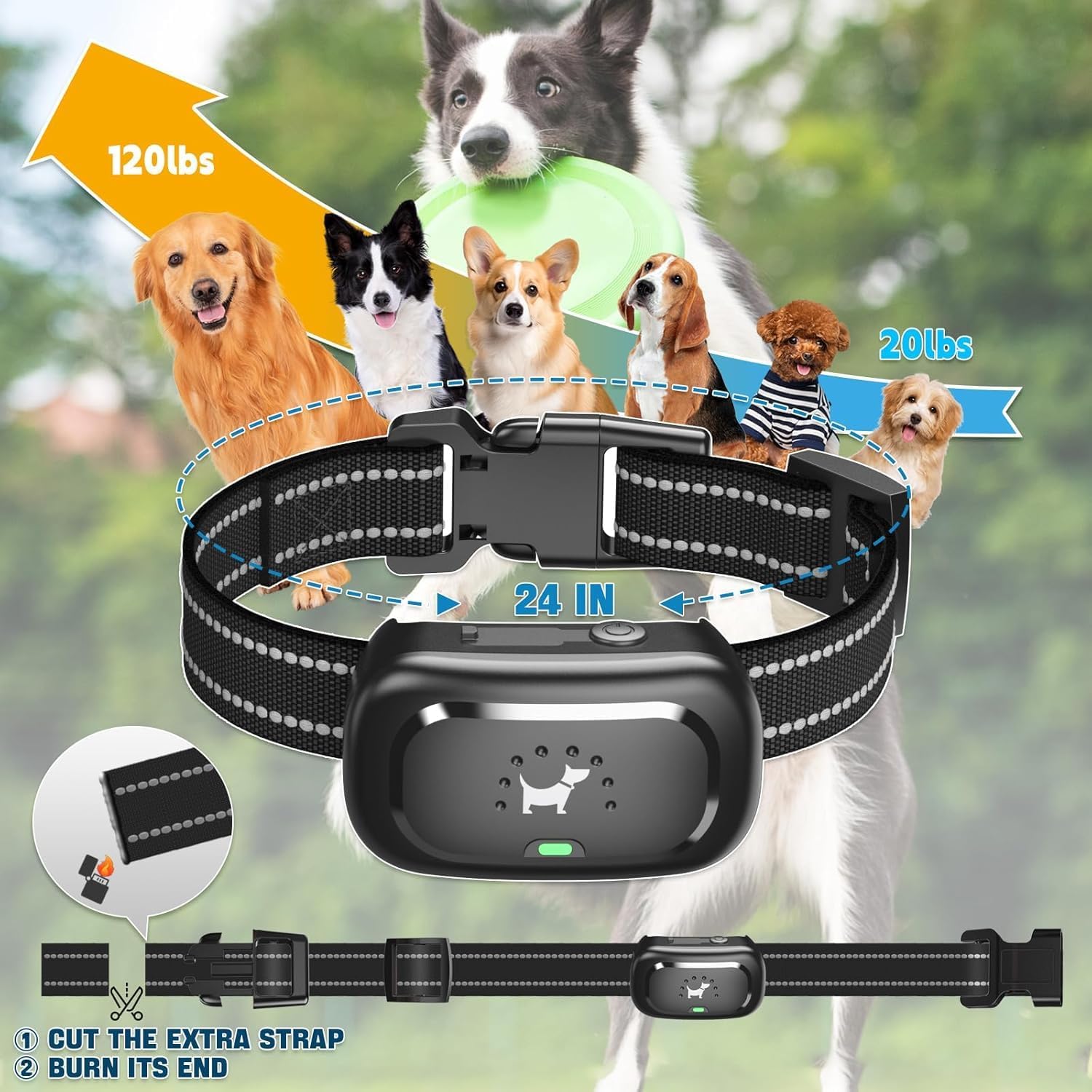 Dog Shock Collar with Remote Control- Training Collar for Small Medium Large Dogs, Electric Collar for Dogs Training Rechargeable, E Collar with Beep, Vibration & Shock-Lock Keypad - Image 7