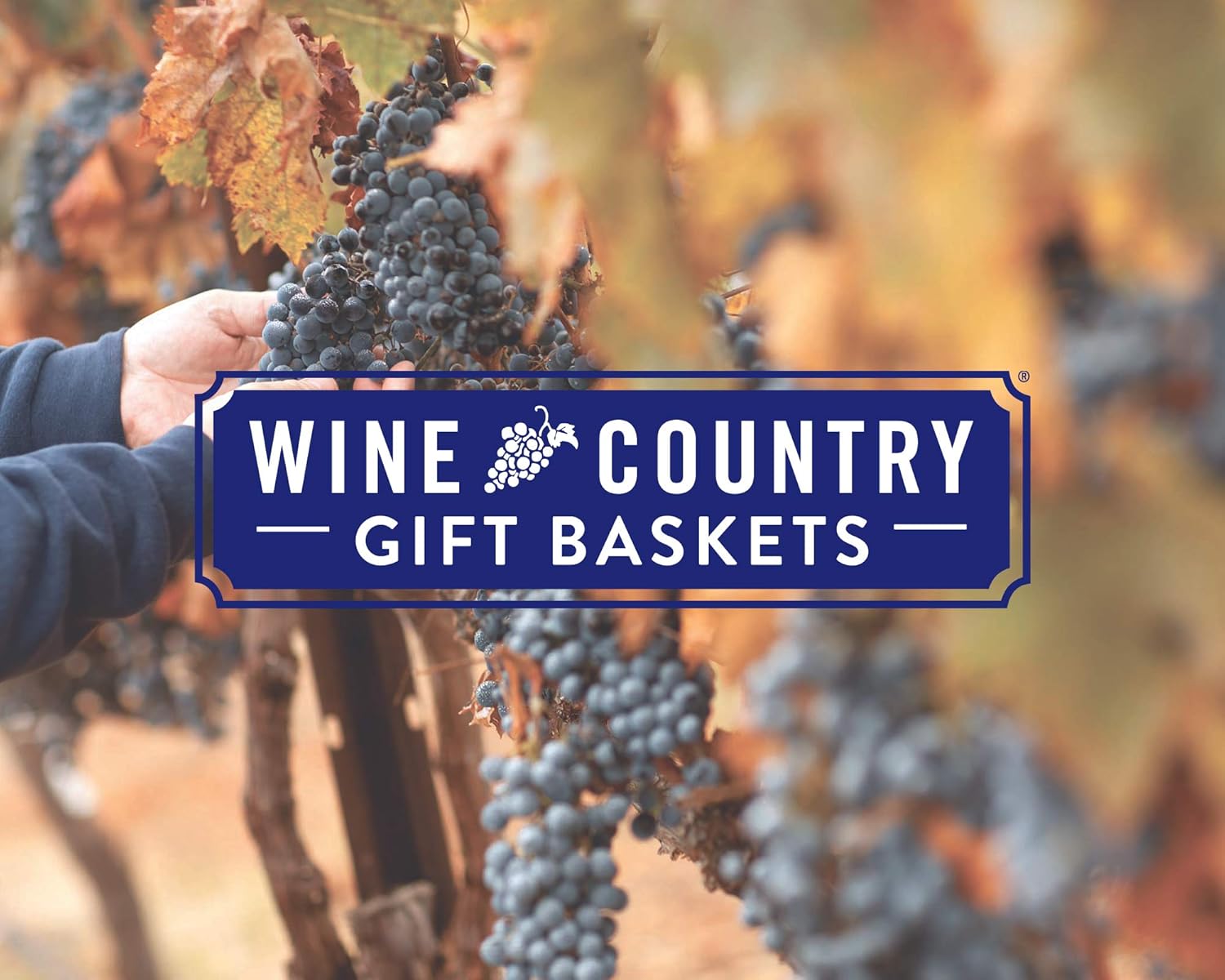 Ghirardelli Chocolate Gift Tower by Wine Country Gift Baskets Gift for Families College Students Appreciation and more - Image 5