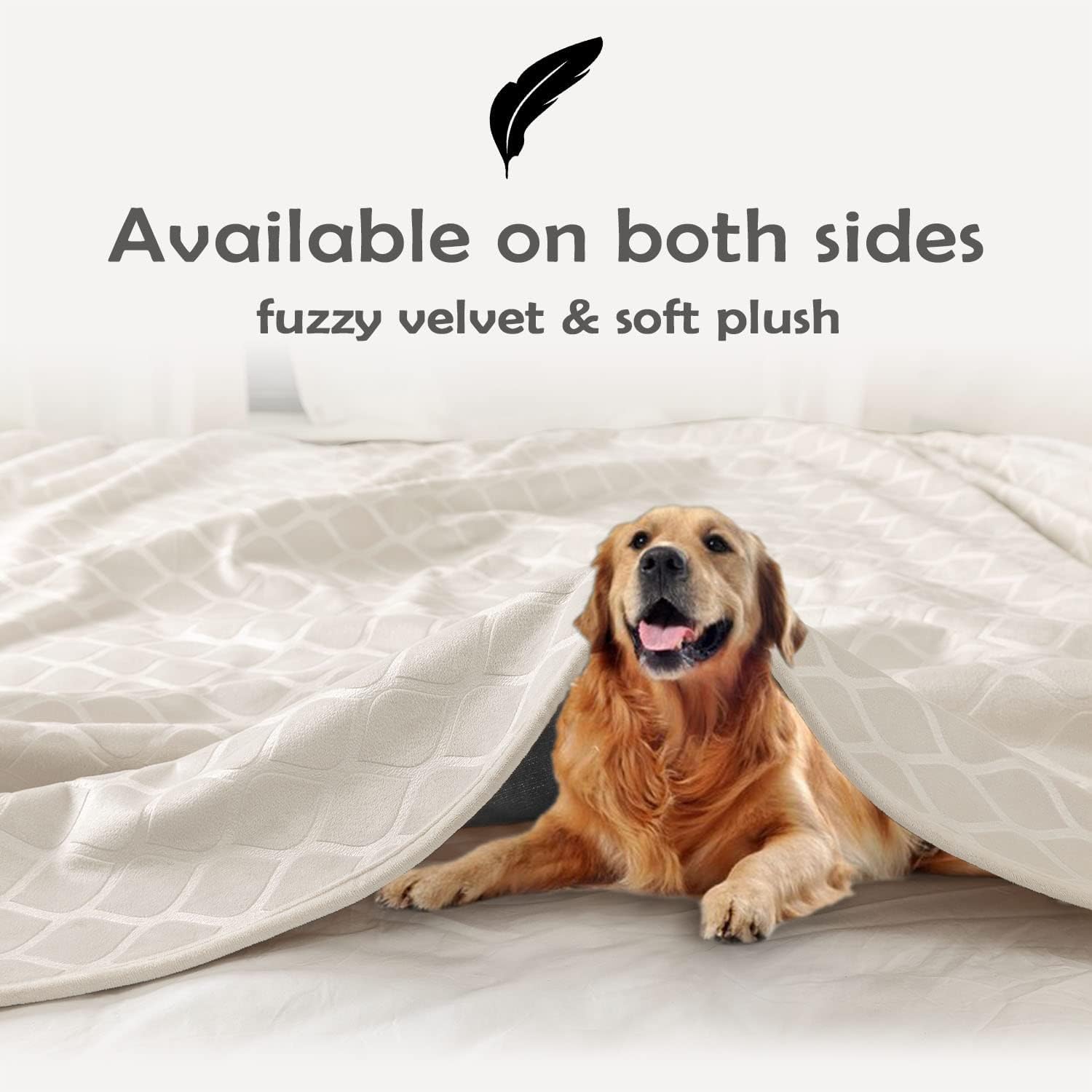 fuguitex Waterproof Dog Blanket Bed Cover Dog Crystal Velvet Moroccan Fuzzy Cozy Plush Pet Blanket Throw Blanket for Couch Sofa(40 * 60 inch, Cream+Beige) - Image 4