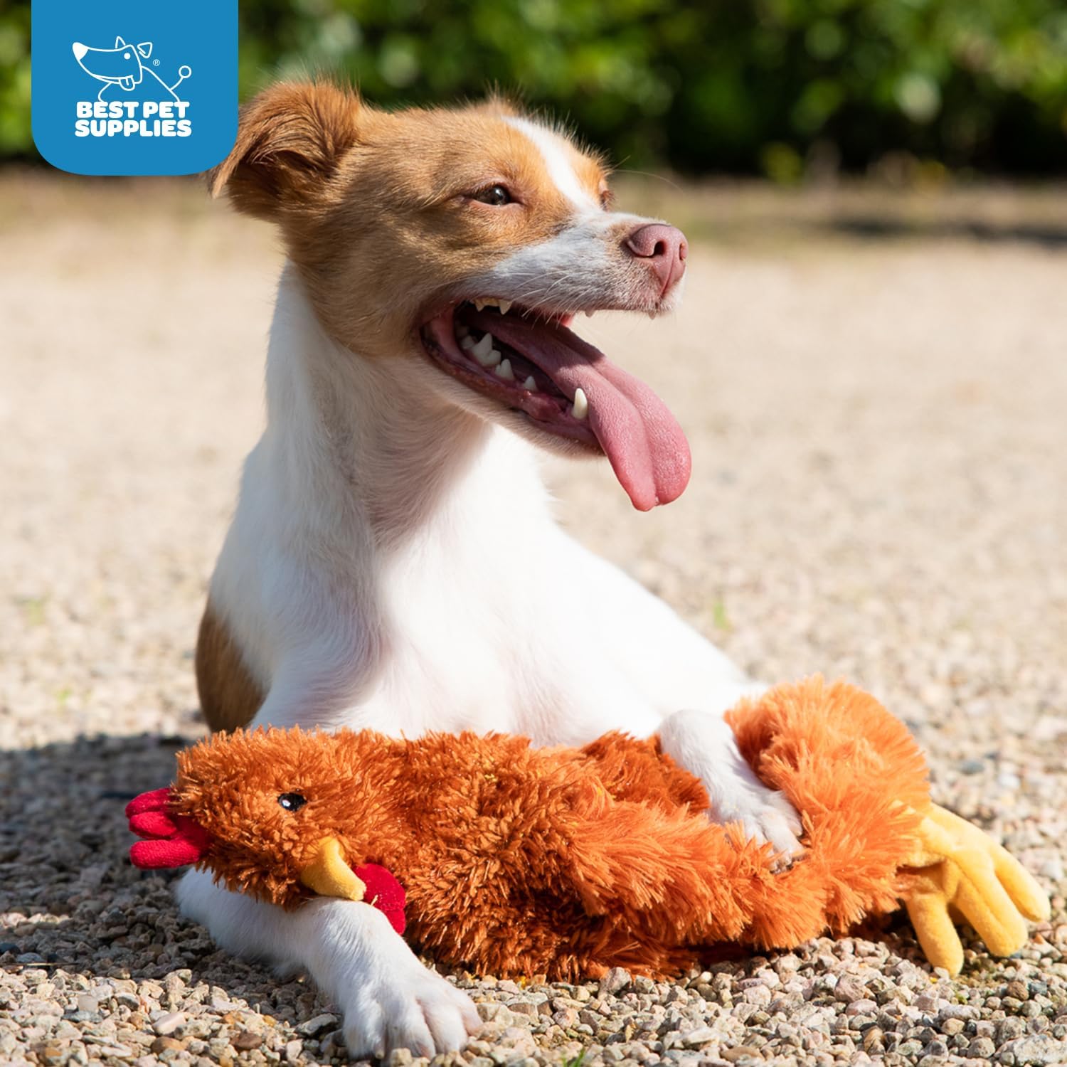 Best Pet Supplies Interactive Squeaky Dog Chew Toy, Ideal Dog Toys for Chewers, Small, Medium & Large Dogs, and Fetch Lovers - Crinkle Chicken (Brown), Large - Image 5