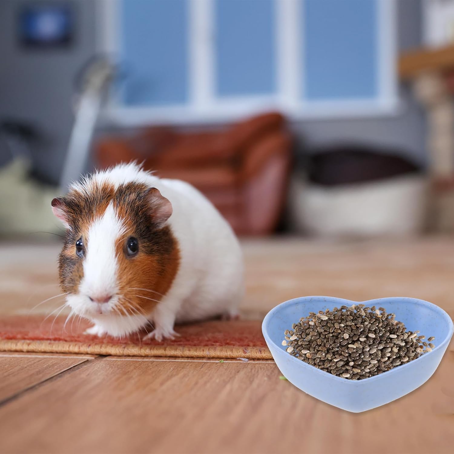 3 Pack Hamster Food Bowl Rabbit Guinea Pig Food Dish Cute Heart Shape Water Dish for Hamster Hedgehog Gerbil Small Animals Rat Rodent (Green, Blue and Pink) - Image 5
