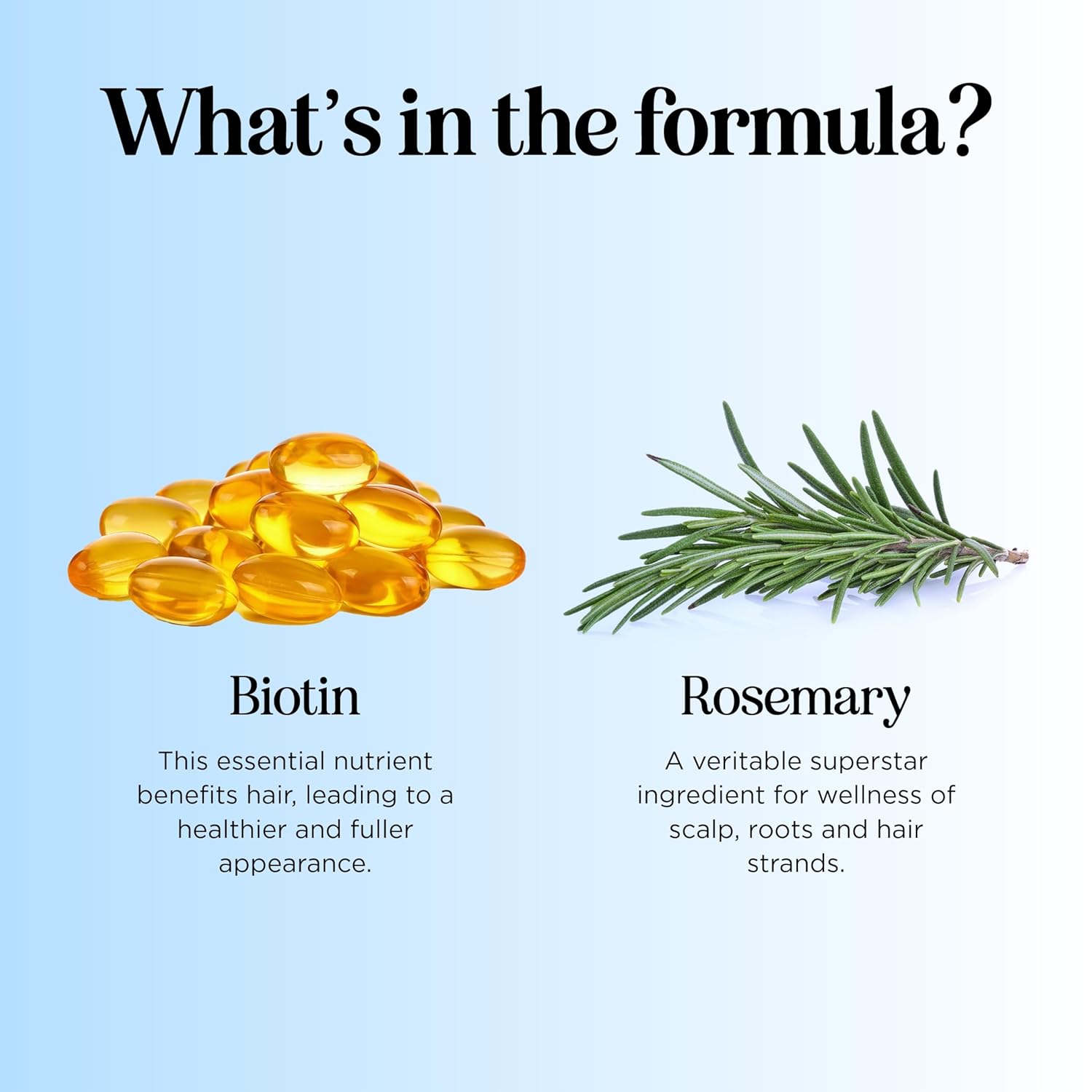 Rosemary and Biotin Shampoo for Thinning Hair - Vegan Volumizing Shampoo for Fine Hair with B Vitamins Argan Oil & Tea Tree Essential Oil - Paraben Silicone and Sulfate Free Vegan Formula (8 Fl Oz) - Image 3