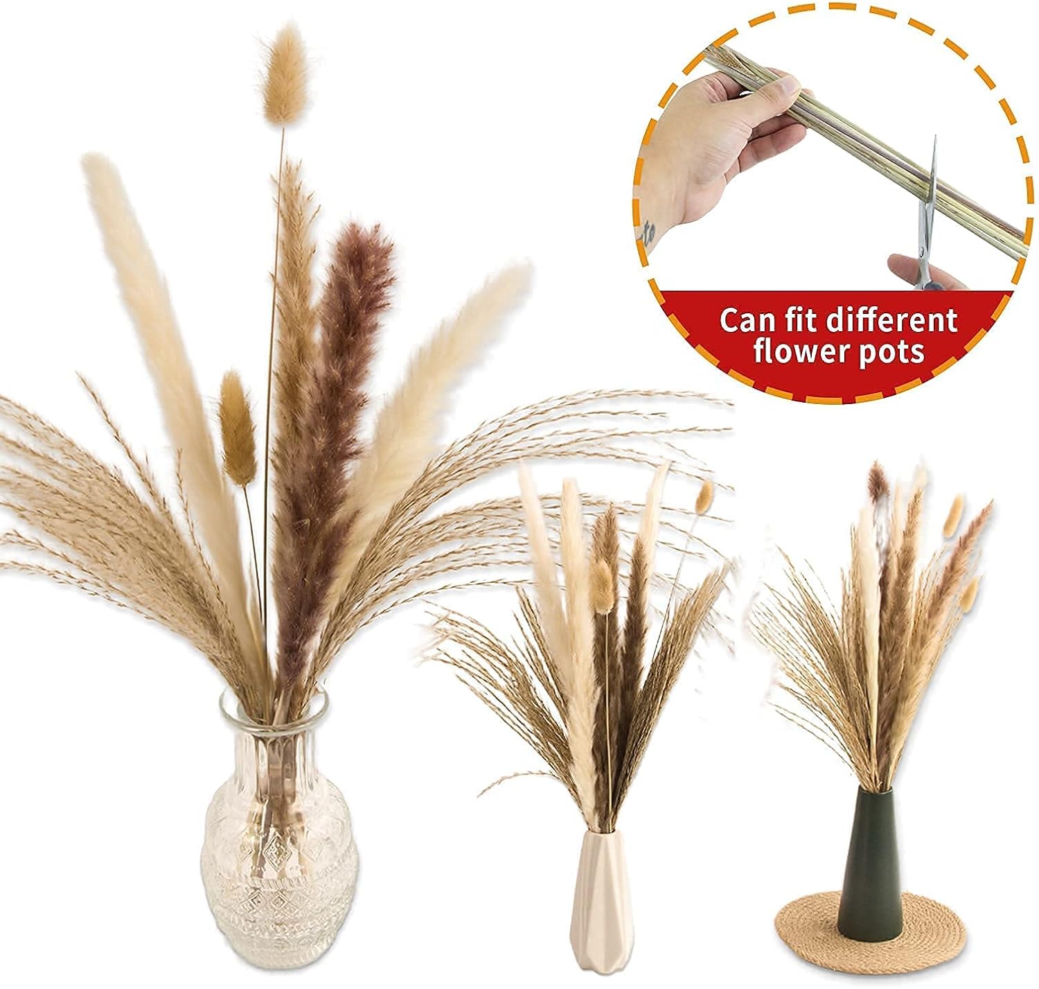 65PCS Pampas Grass Decor, Including pompas Floral, Reed Dried Grass and Bunny Tails Dried Flowers, Natural Dried Pampas Grass Bouquet for Boho Decor Wedding, Home Decoration - Image 4