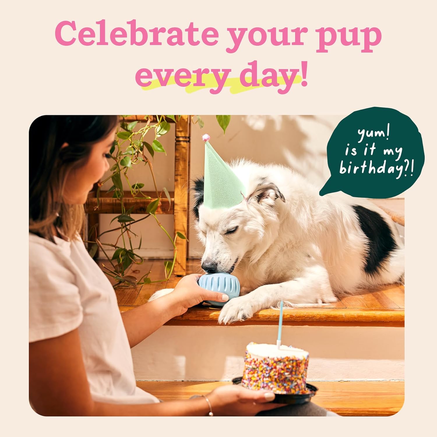 WOOF Party Pupsicle - Long-Lasting Interactive Dog Toys for Boredom - Low-Mess Design - Birthday Gifts for Dogs - Large Dog Toys - Buddy Blue - Image 3