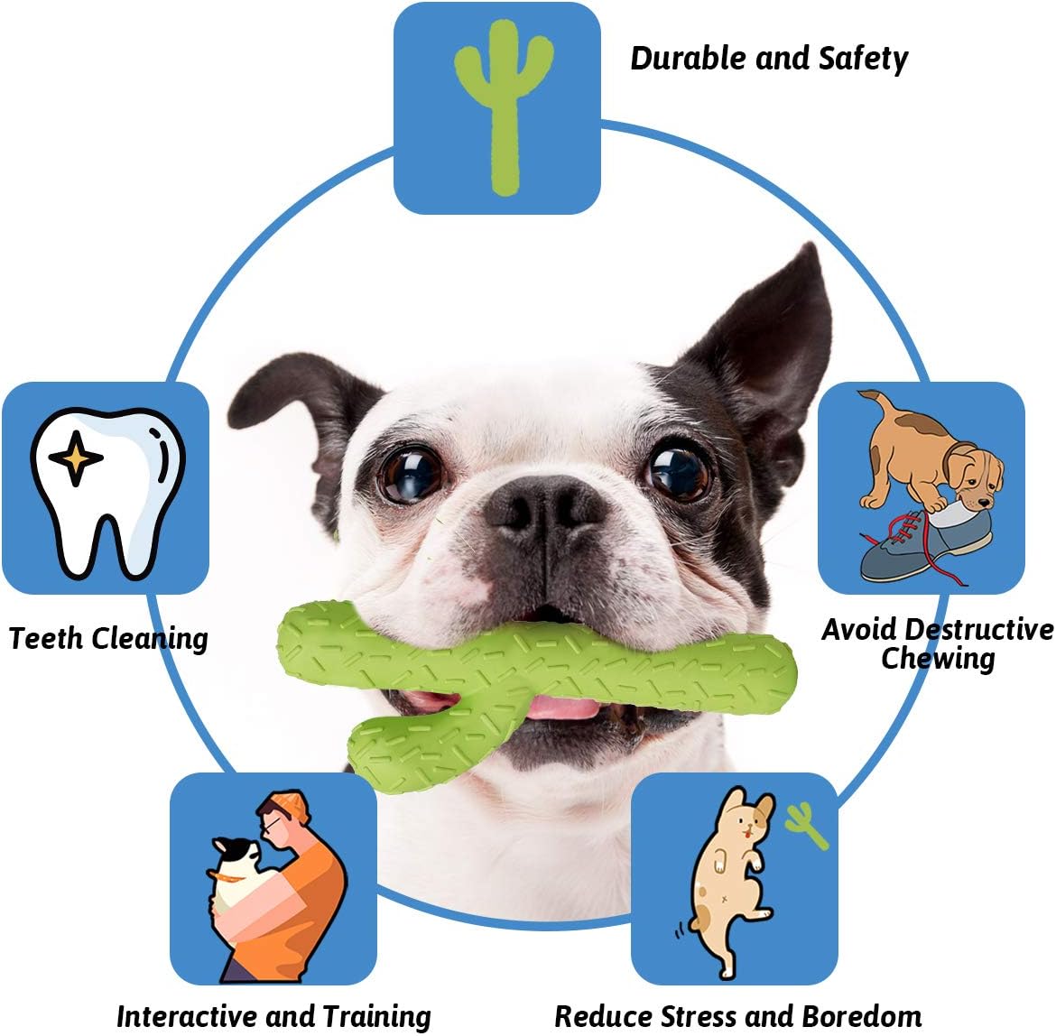 MewaJump Dog Chew Toys, Durable Rubber Dog Toys for Aggressive Chewers, Cactus Tough Toys for Training and Cleaning Teeth, Interactive Dog Toys for Medium/Large Dog - Image 2