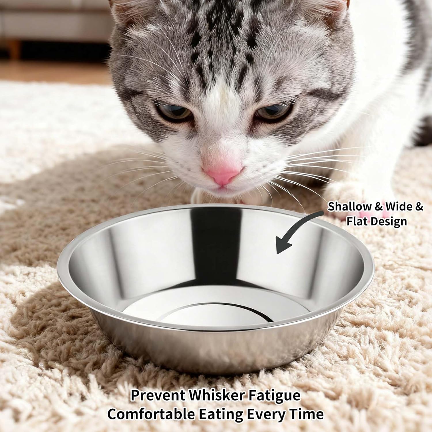 Tifanso 6PCS Stainless Steel Cat Bowls Dishes, 5.6” Metal Shallow Wide Whisker Friendly Cat Food Water Feeding Bowl, Kitten Plates, Basic Indoor Pet Food Tray, Dishwasher Safe - Image 4