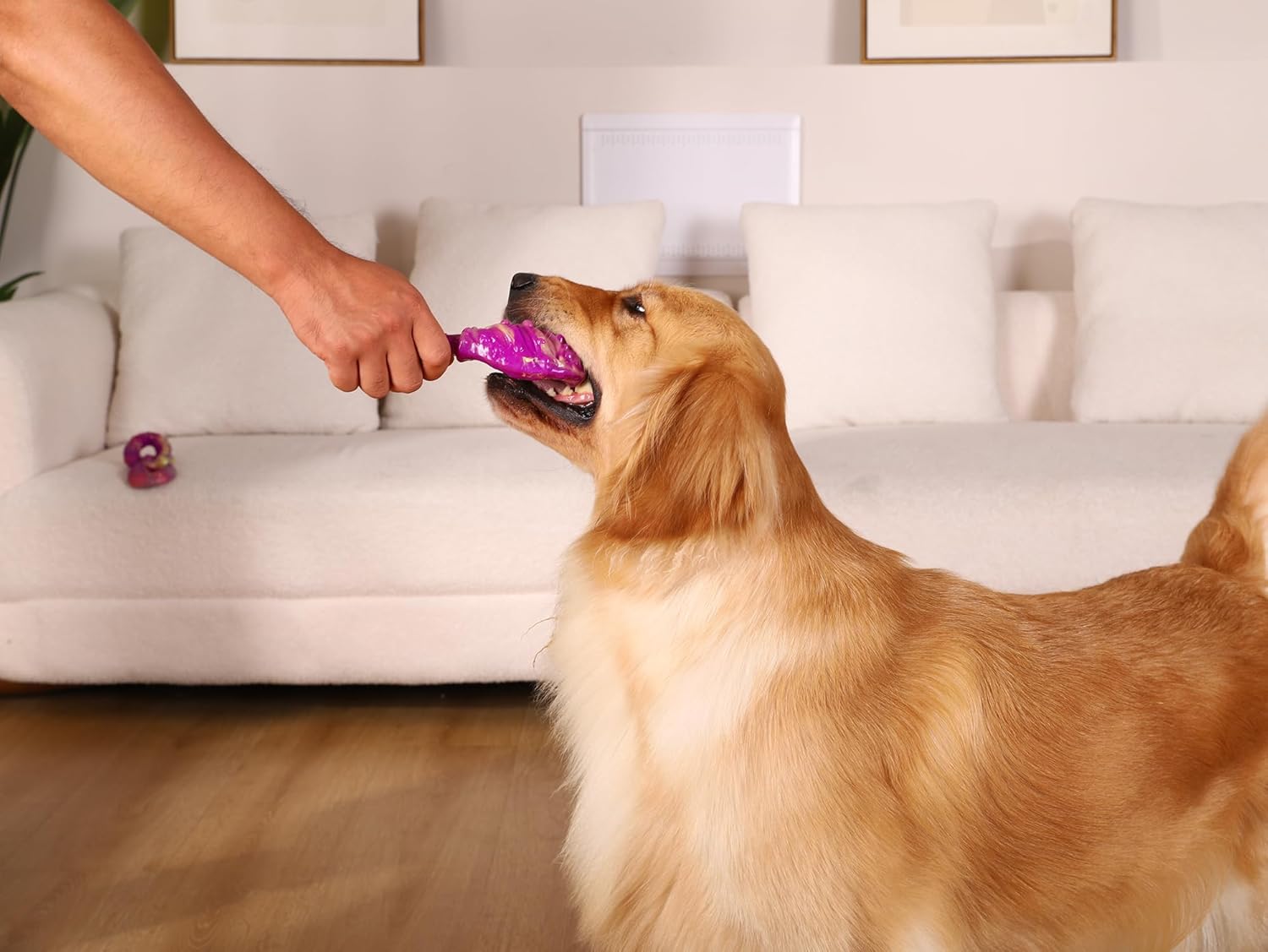 WinTour Dog Chew Toys for Aggressive Chewers 3 Pack, Indestructible Dog Toy to Keep Them Busy, Tough Dog Toys for Aggressive Chewers for Small, Medium and Large Breeds, Beef Flavor, Purple - Image 9