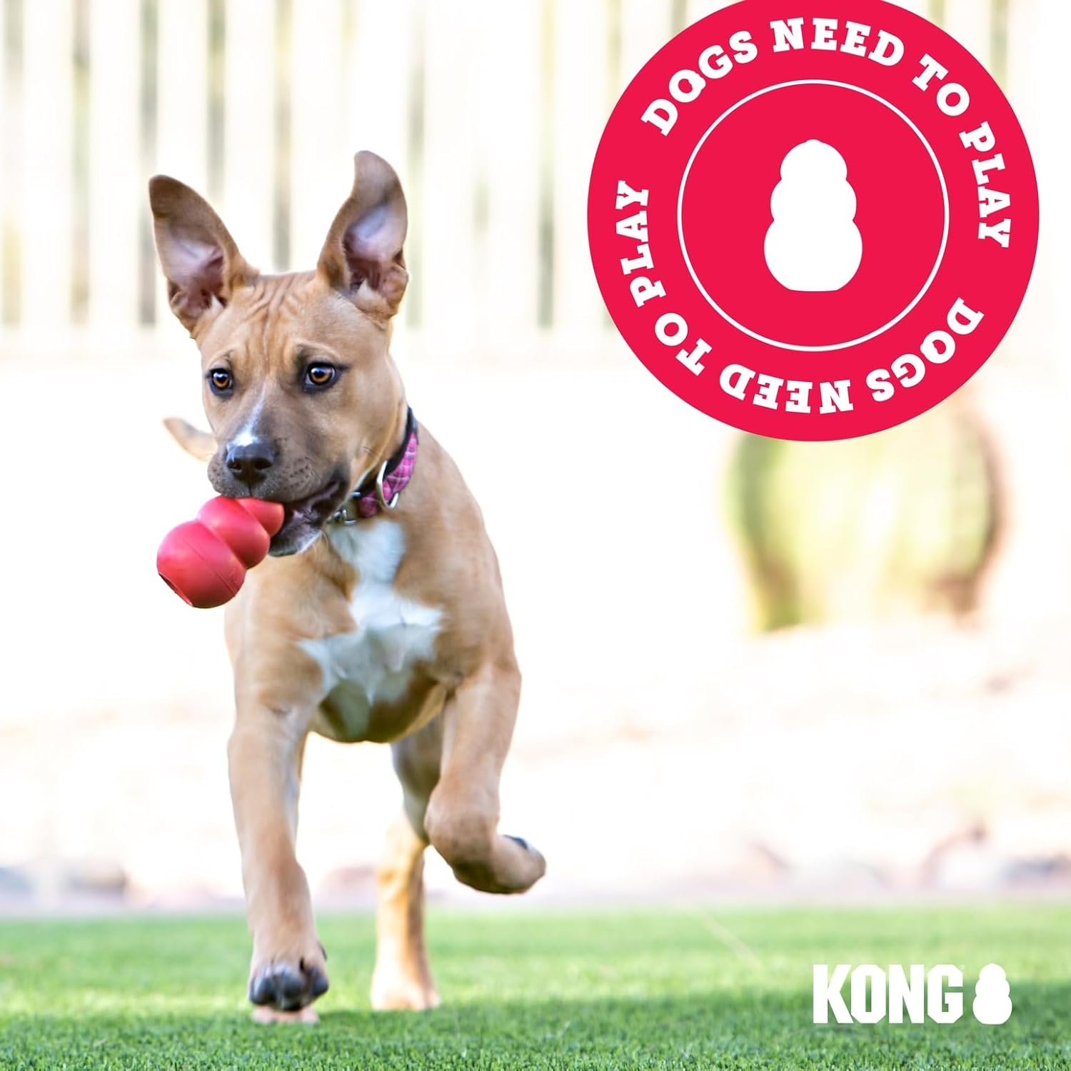 KONG Ring - Natural Rubber Ring Toy for Healthy Chewing Habits - Chew Toy Supports Dog Dental Health - Dog Toy Supports Instincts During Playtime - for Medium/Large Dogs - Image 8