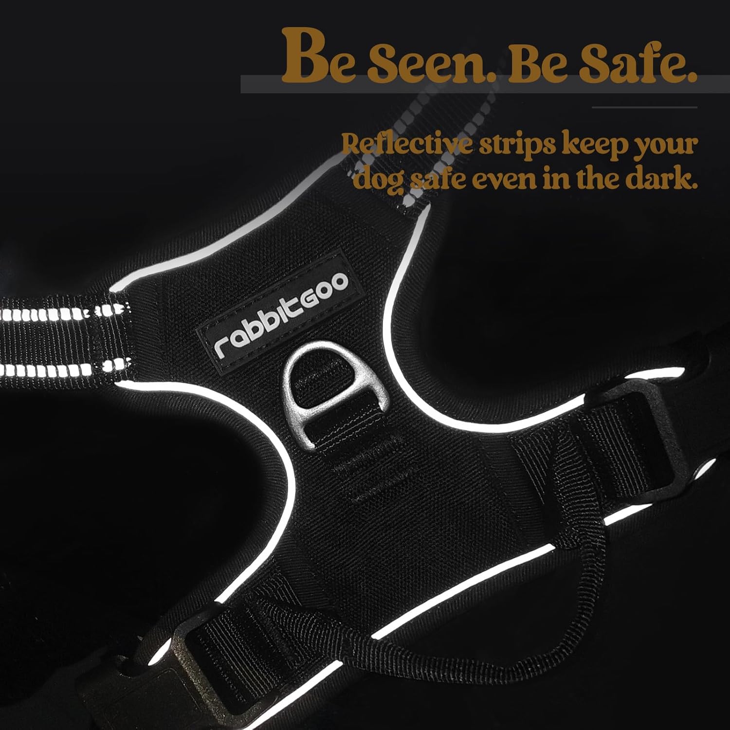 rabbitgoo Dog Harness No Pull with 2 Leash Clips, Adjustable Soft Padded, Reflective Oxford No Choke Pet Vest with Easy Control Handle for Medium Sized Dogs, Black, M - Image 7
