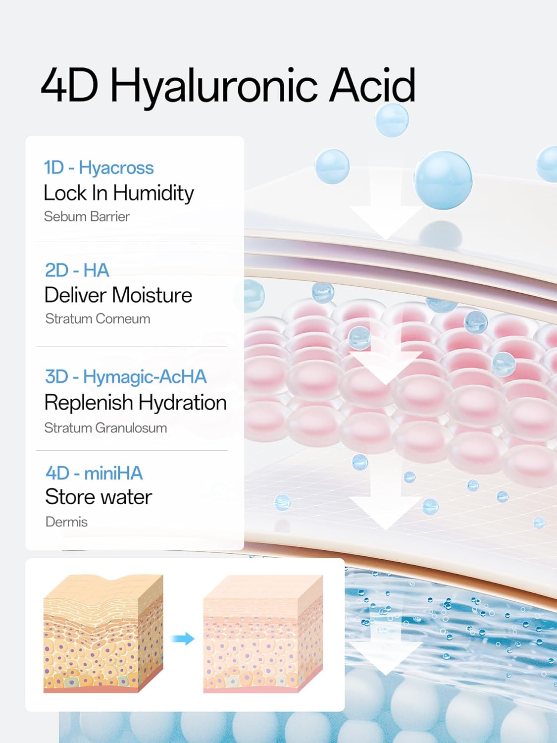 WNP Hyaluronic Acid Serum 3% for Face with 4D Multi-Layer Hydration | Ultra Hydrating Anti-Aging Serum | Moisturizer for Dry & Sensitive Skin | Pre-Makeup Skincare | Single-Use Vials 30PCS - Image 6