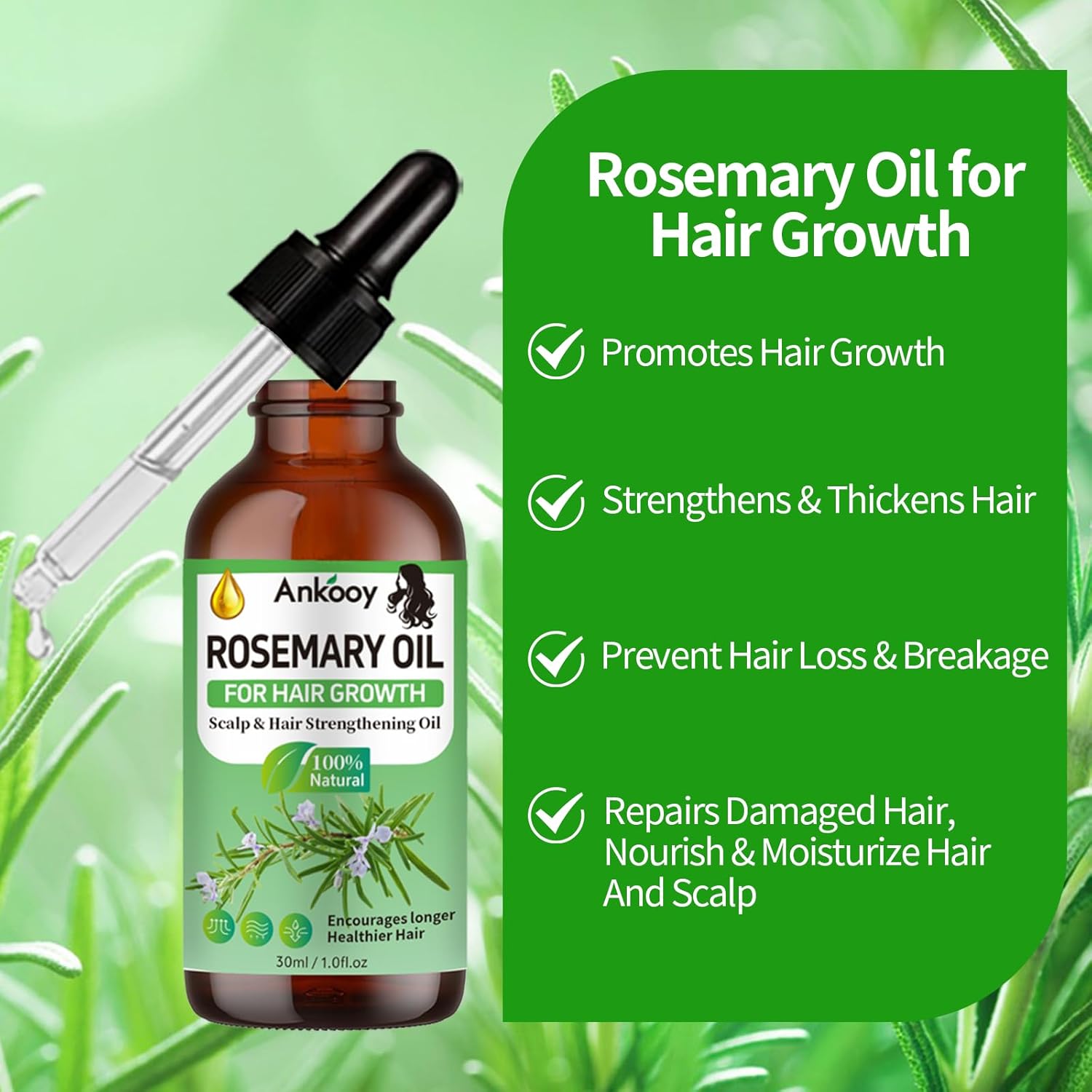 3 Pack Rosemary Oil for Hair Growth,Rosemary Hair Growth Oil,Strengthening Oil for Dry Damaged Hair,Hair Loss Treatment & Thickens Hair,Scalp Care Promotes Hair Thickness for Men Women - Image 2