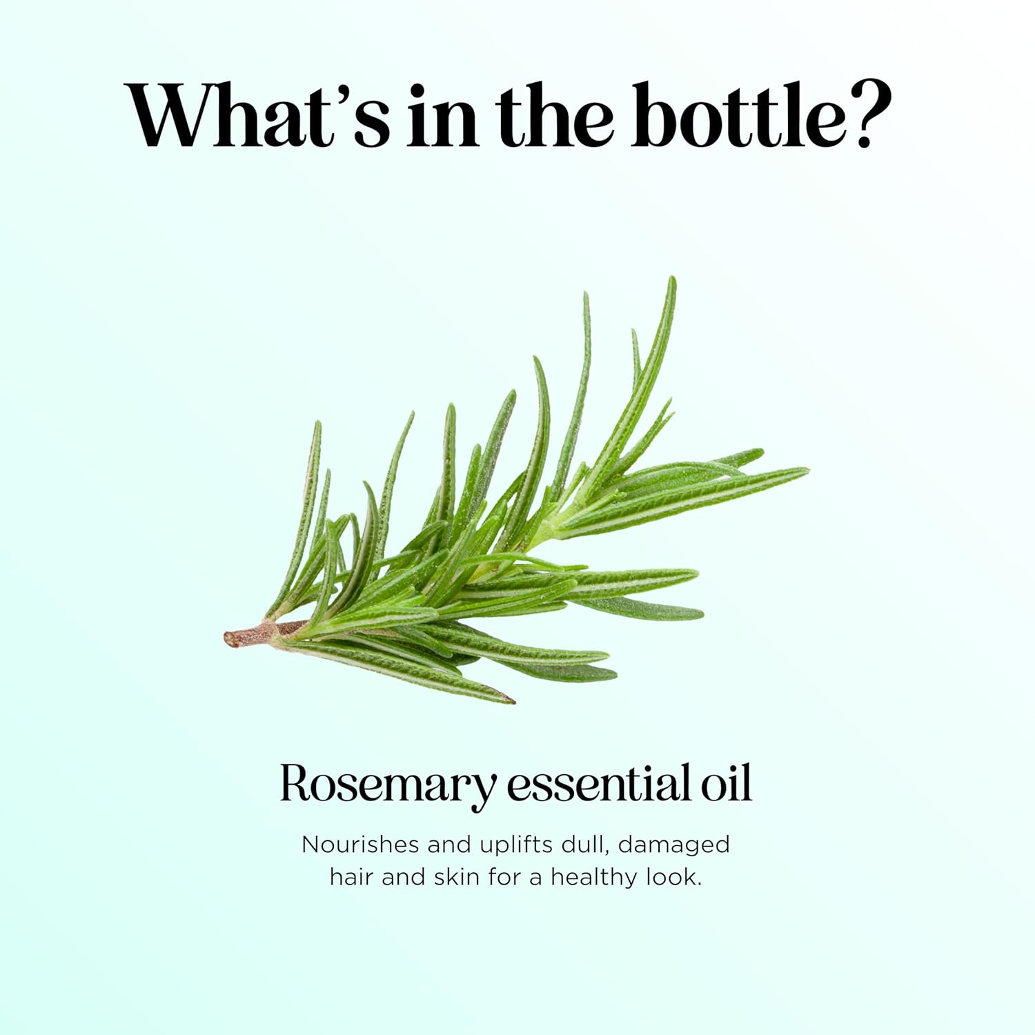 Pure Rosemary Essential Oil with Dropper - Undiluted Rosemary Oil for Hair Skin and Nails and Refreshing Aromatherapy Oil for Diffusers - Rosemary Essential Oil for Cleansing Dry Scalp Care 4oz - Image 4
