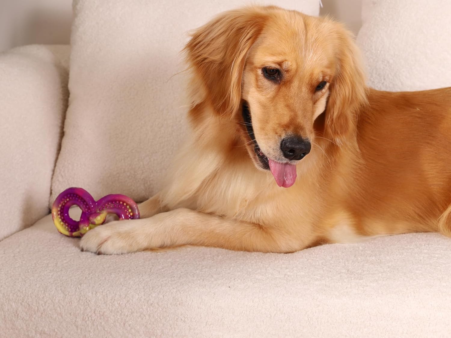 WinTour Dog Chew Toys for Aggressive Chewers 3 Pack, Indestructible Dog Toy to Keep Them Busy, Tough Dog Toys for Aggressive Chewers for Small, Medium and Large Breeds, Beef Flavor, Purple - Image 8