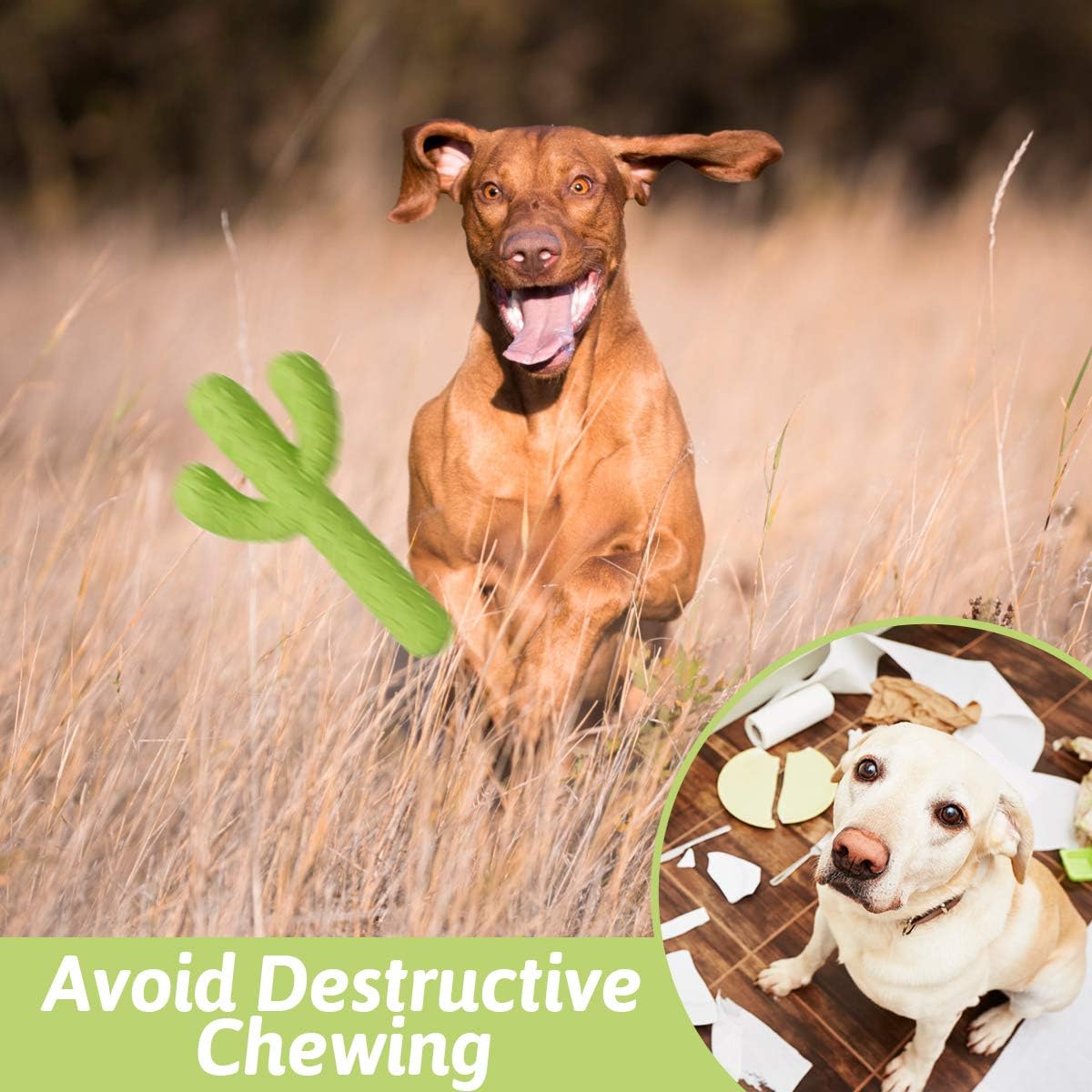 MewaJump Dog Chew Toys, Durable Rubber Dog Toys for Aggressive Chewers, Cactus Tough Toys for Training and Cleaning Teeth, Interactive Dog Toys for Medium/Large Dog - Image 5