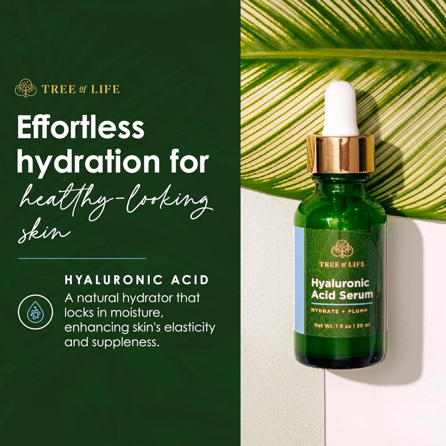 Tree of Life Beauty Hyaluronic Acid Serum, Skin Brightening Face Oil for Dark and Age Spots, Facial Serums for Dry and Sensitive Skin Care with Vitamin E for Soft Smooth Skin, 2 Fl Oz - Image 3