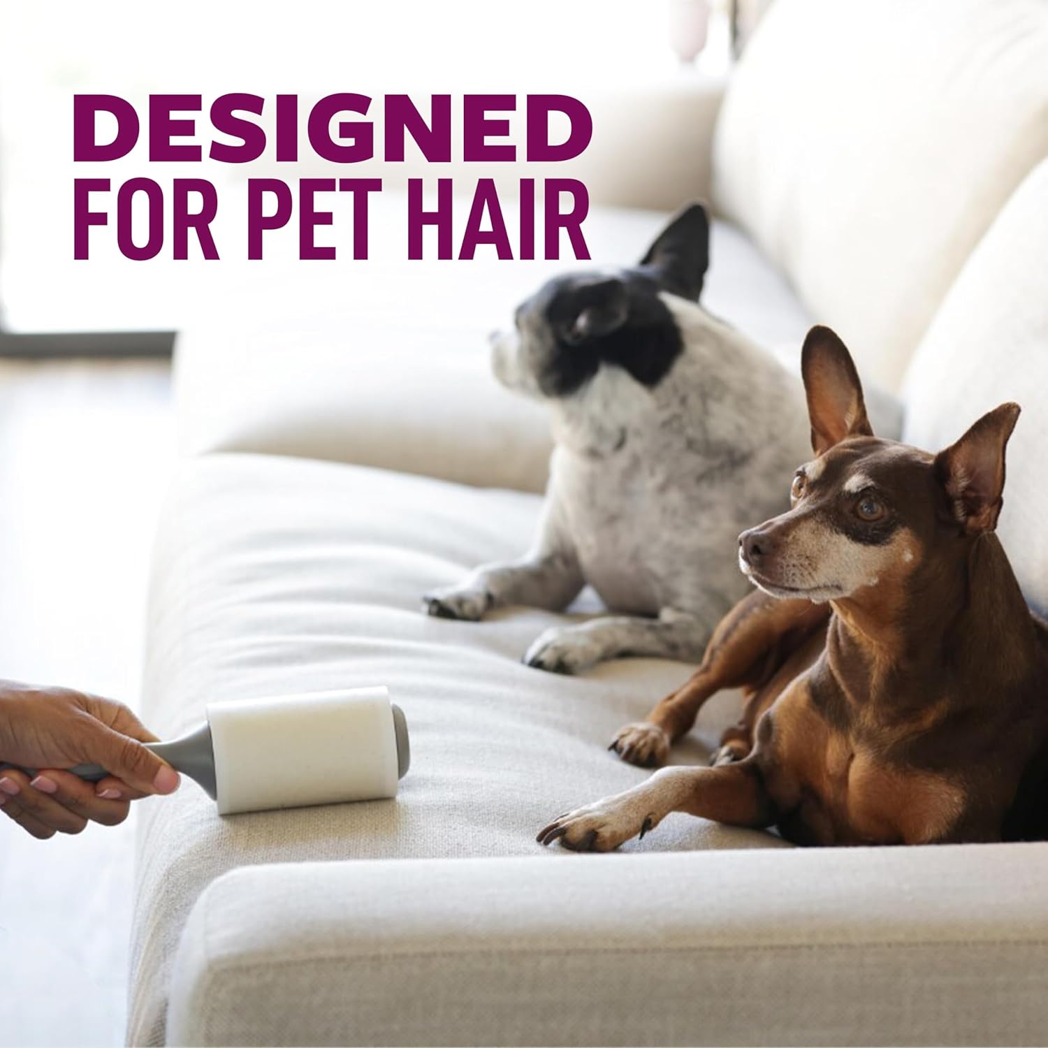 Scotch-Brite Pet Hair Pickup Extra Sticky Large Lint Roller, Designed for Removing Fur + Fluff on Couches, Clothes, Dog and Cat Beds, & More, 1 Pack, 60 Easy-Tear Adhesive Sheets Total - Image 3