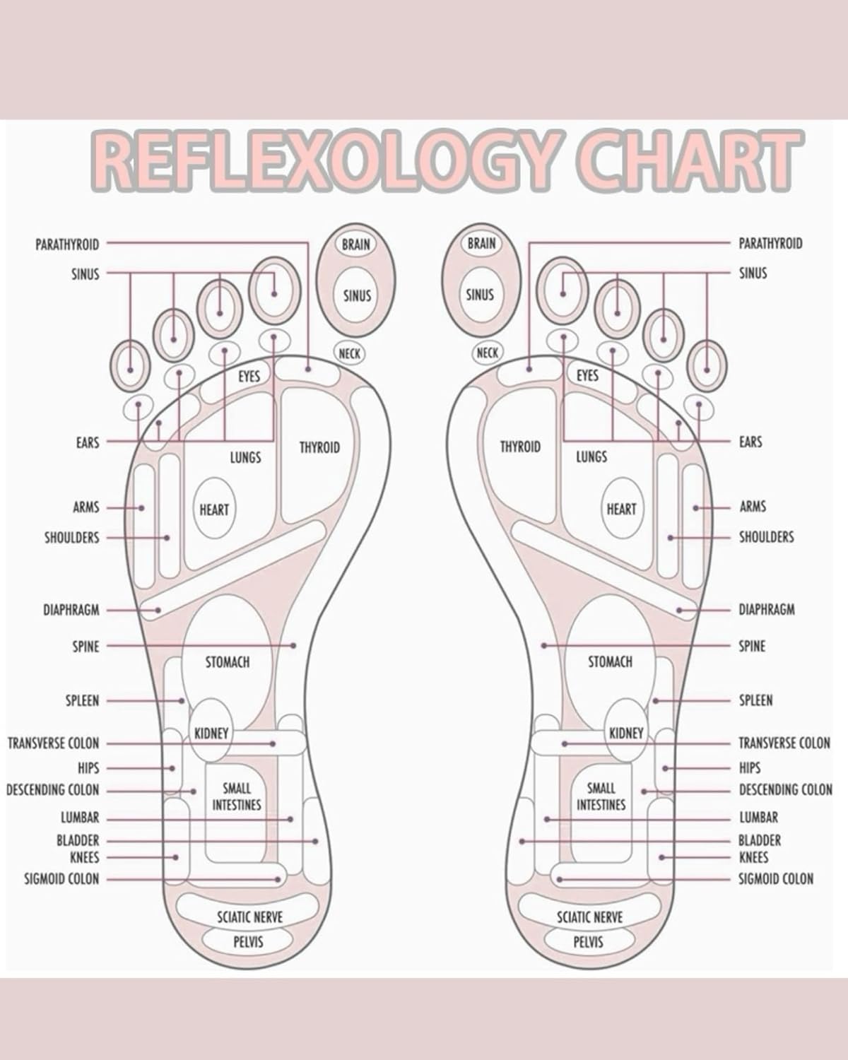 Acupressure Foot Massage Mat Dual-Sided Silicone Reflexology Pad for Plantar Fasciitis, Heel Pain & Fatigue Washable – Connectable Relief Pad for Standing Desk, Home, Office – Pink (M) - Image 4