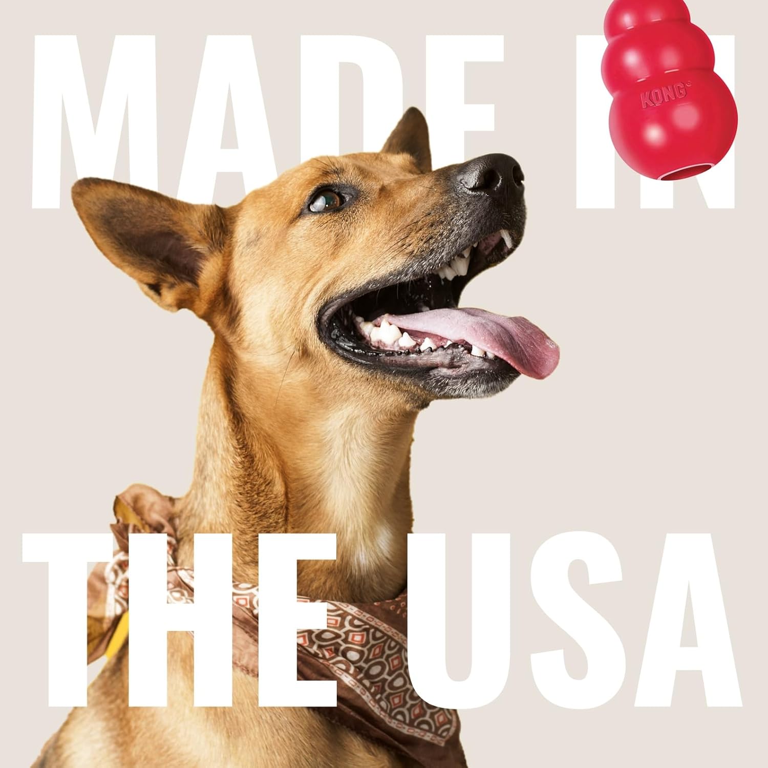 KONG Ring - Natural Rubber Ring Toy for Healthy Chewing Habits - Chew Toy Supports Dog Dental Health - Dog Toy Supports Instincts During Playtime - for Medium/Large Dogs - Image 6