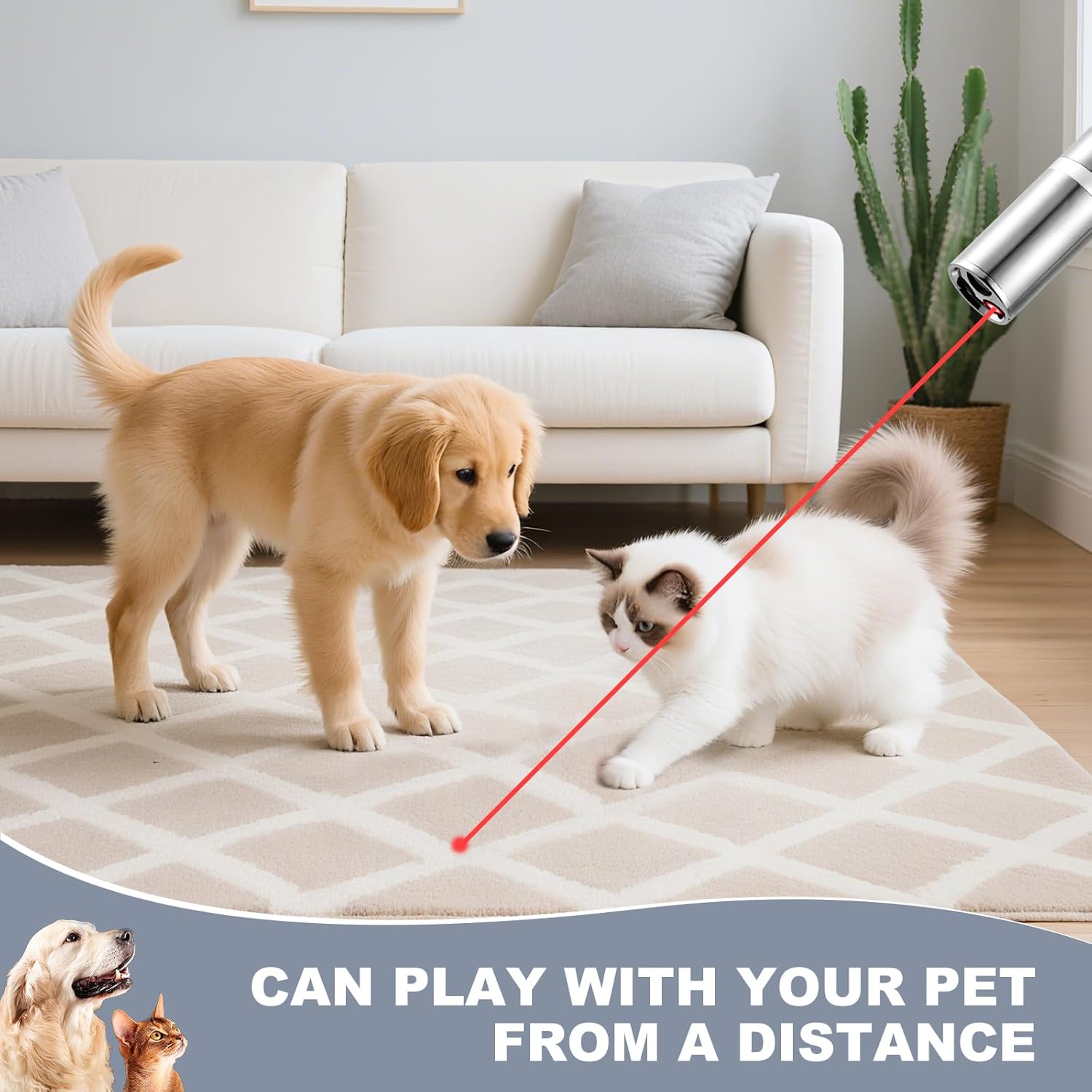 Laser Pointer, Bird Toys for Indoor Birds, Bird Laser Toy, Red Dot LED Light Pointer Interactive Toys for Indoor Birds, USB Charging, 5 Switchable Patterns - Image 7